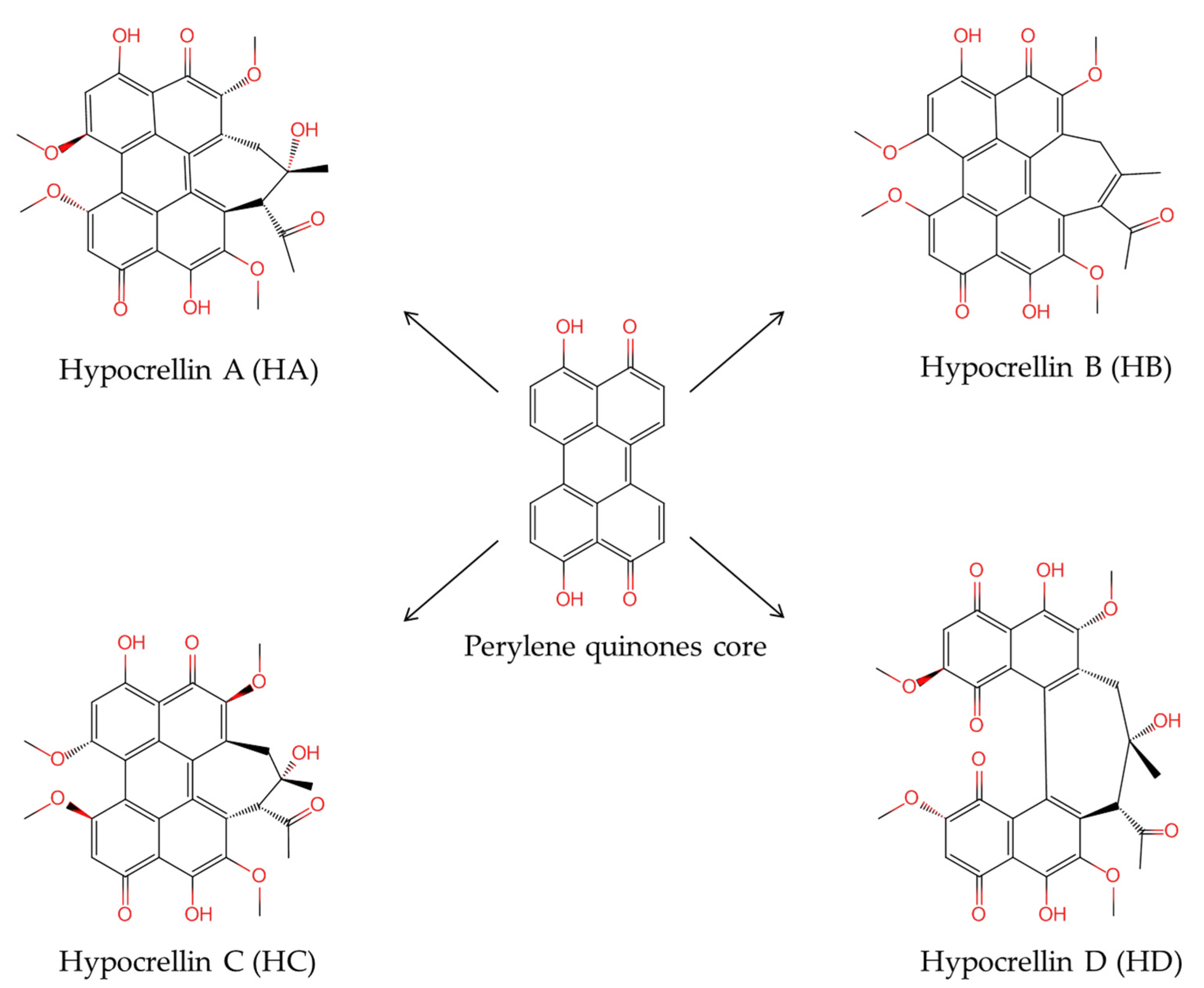 Fermentation 07 00316 g001