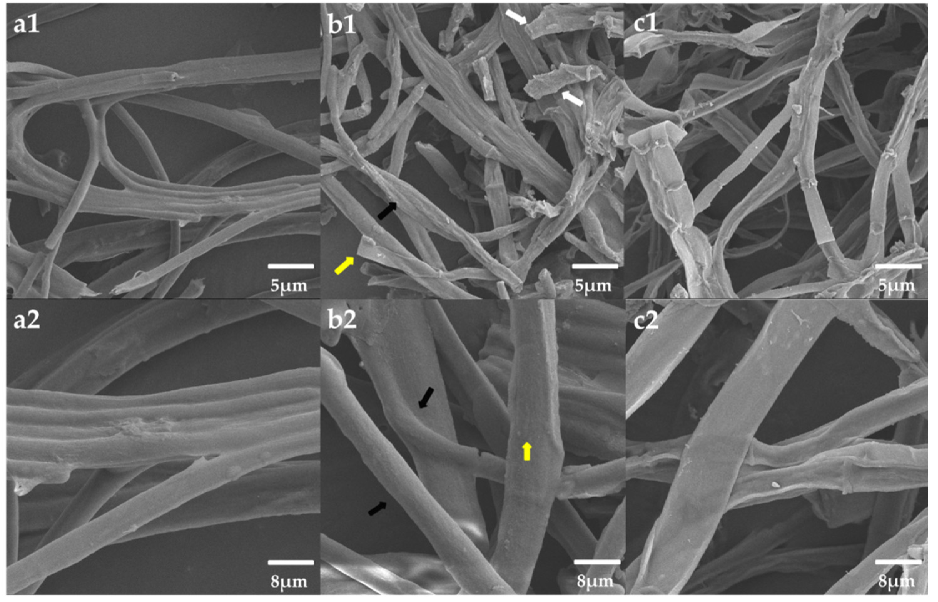Fermentation 07 00316 g010