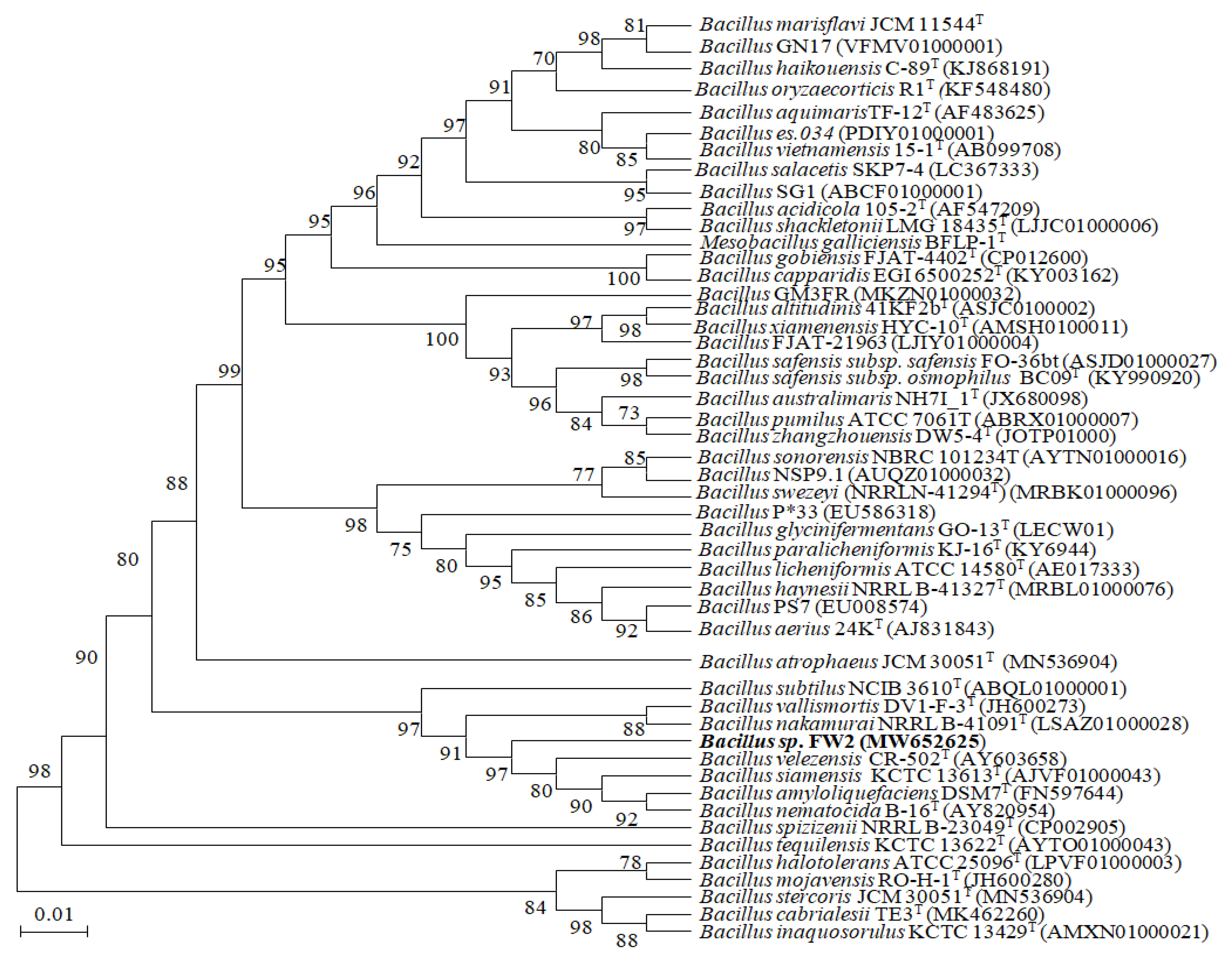 Fermentation 08 00012 g001