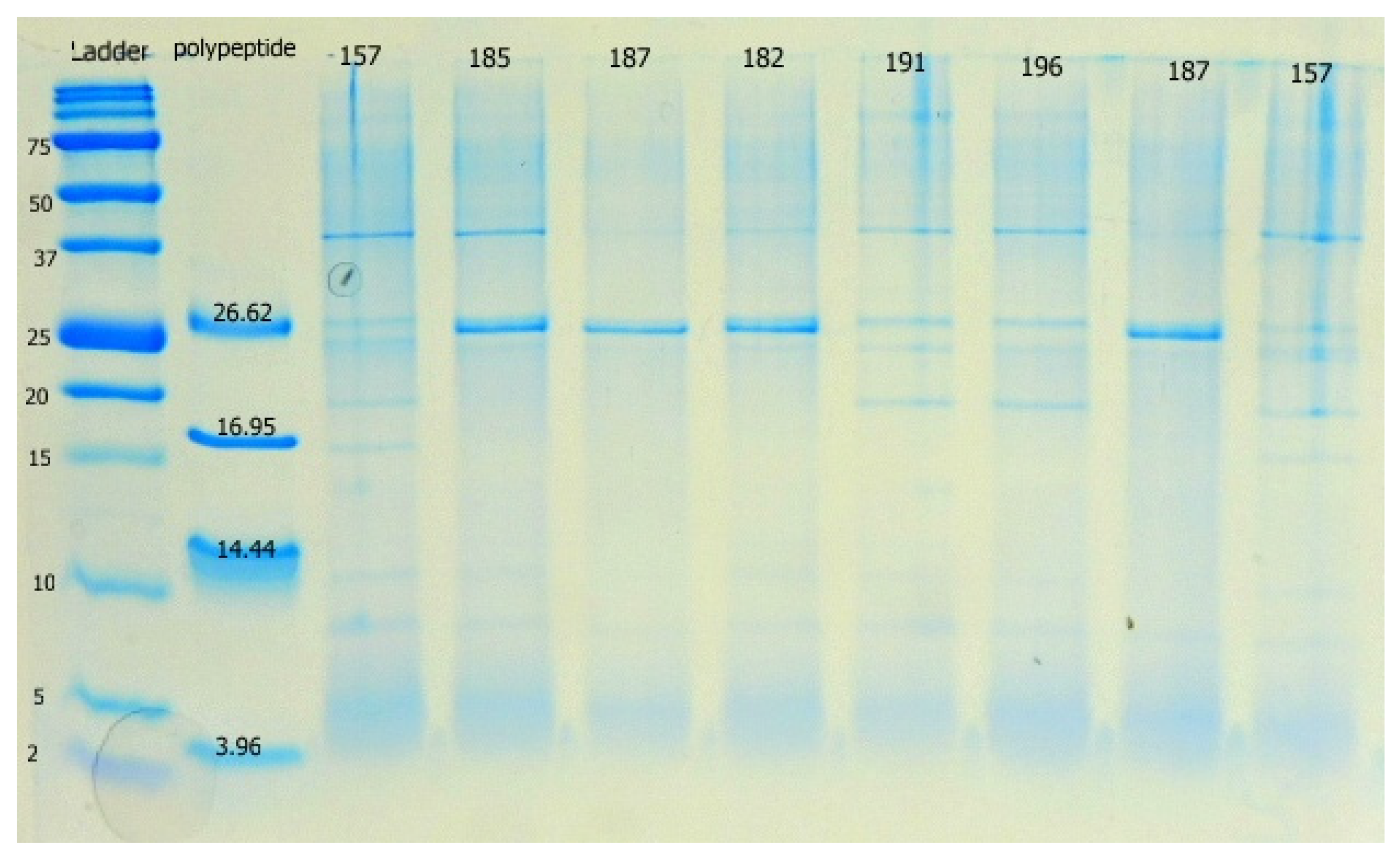 Fermentation 08 00014 g001 550