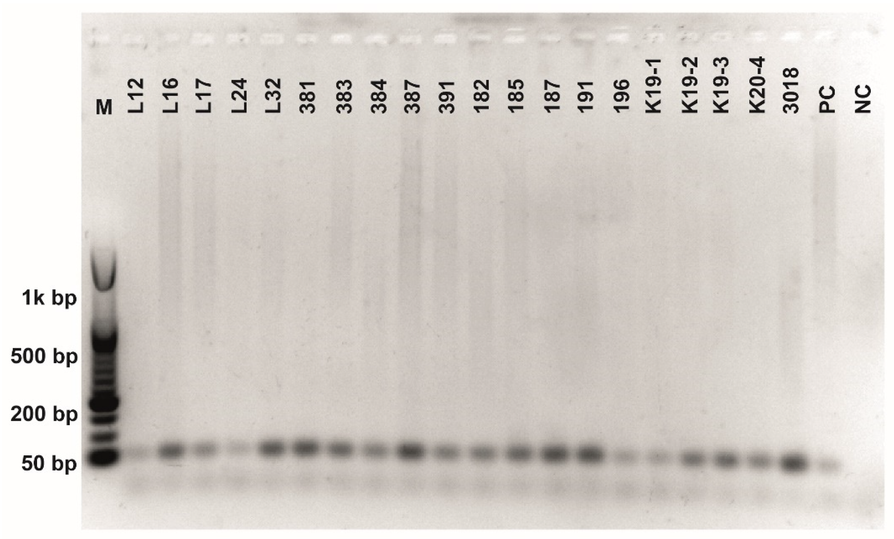 Fermentation 08 00014 g0a3 550