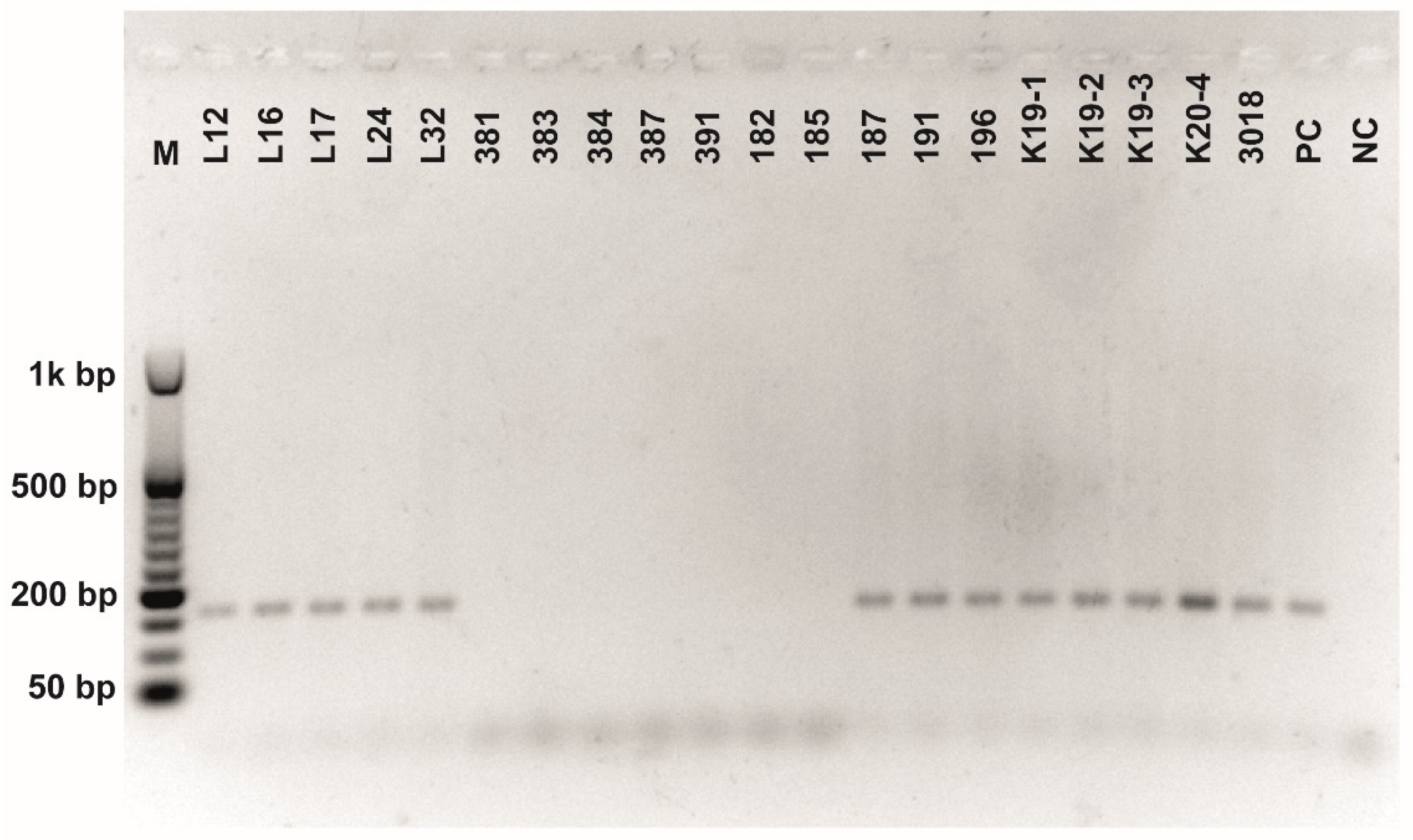 Fermentation 08 00014 g0a4 550