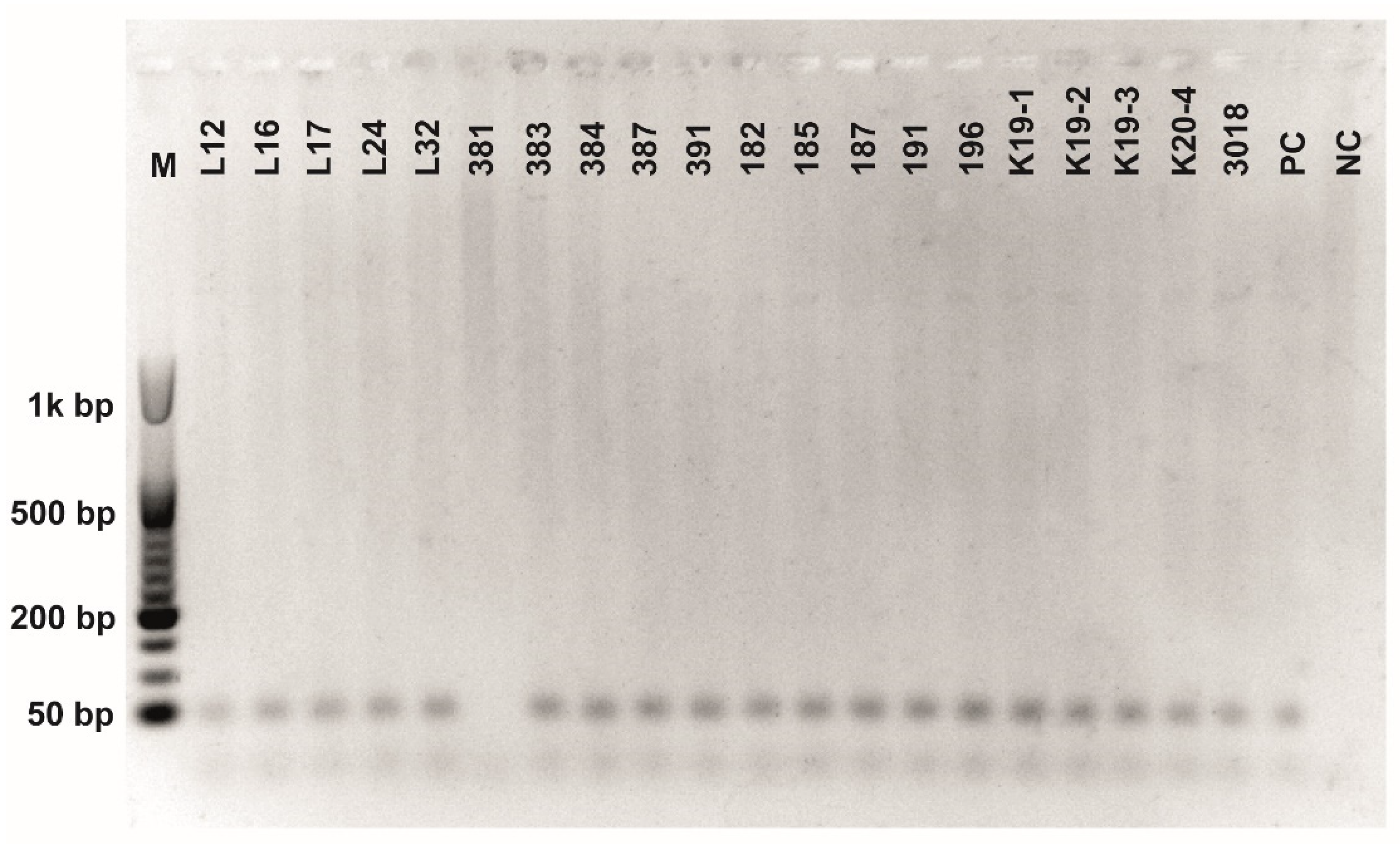 Fermentation 08 00014 g0a5 550
