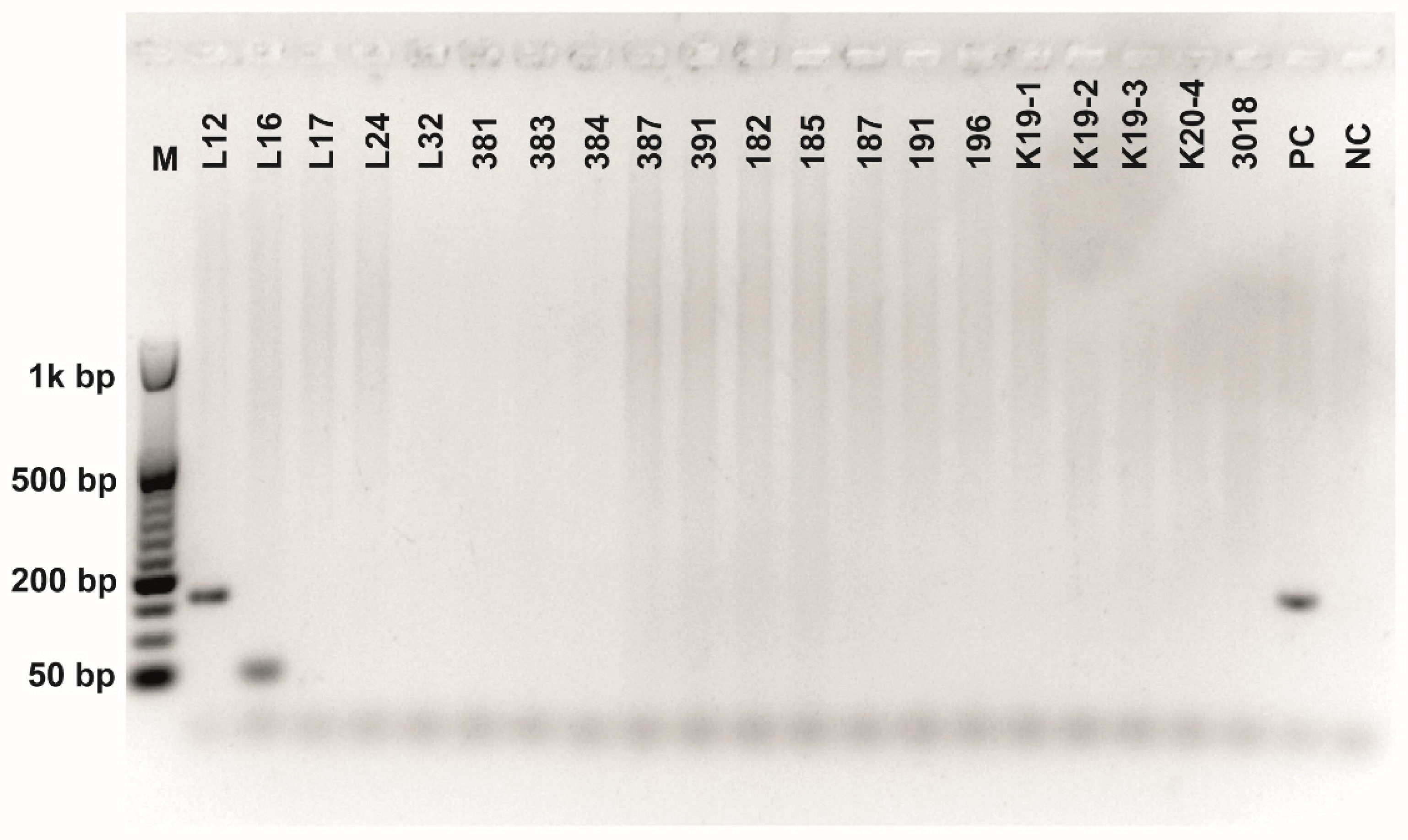 Fermentation 08 00014 g0a6 550