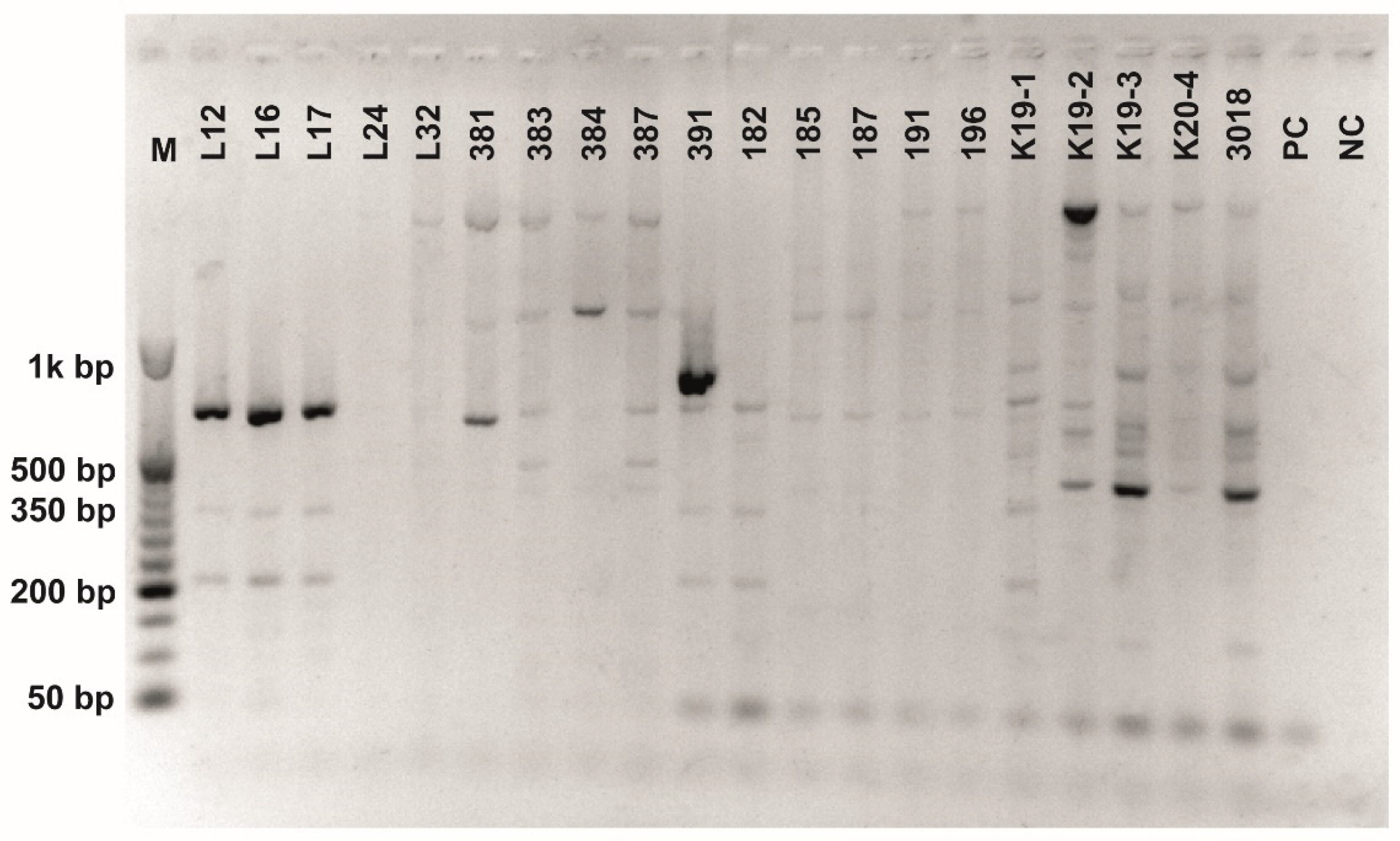 Fermentation 08 00014 g0a7 550