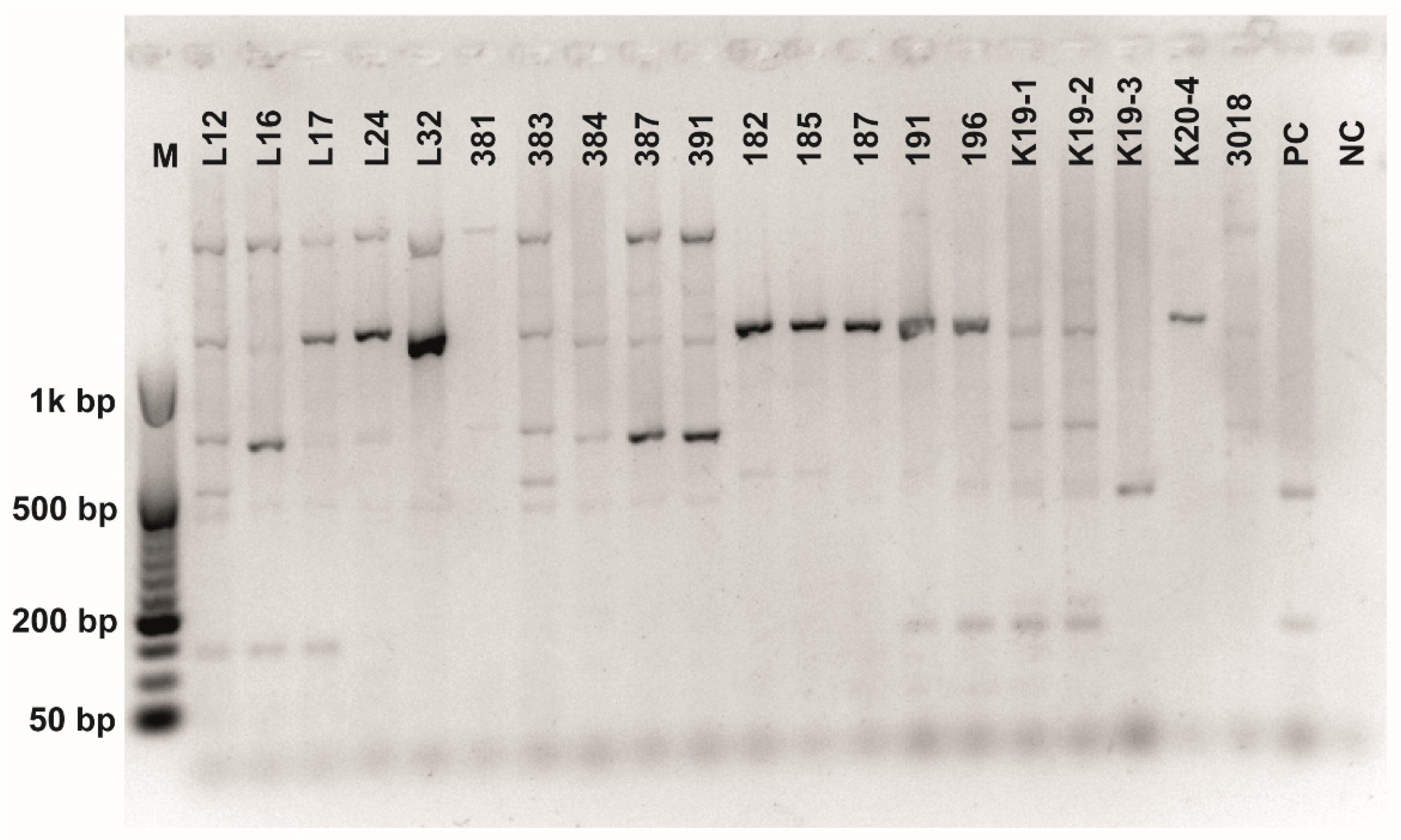 Fermentation 08 00014 g0a8 550