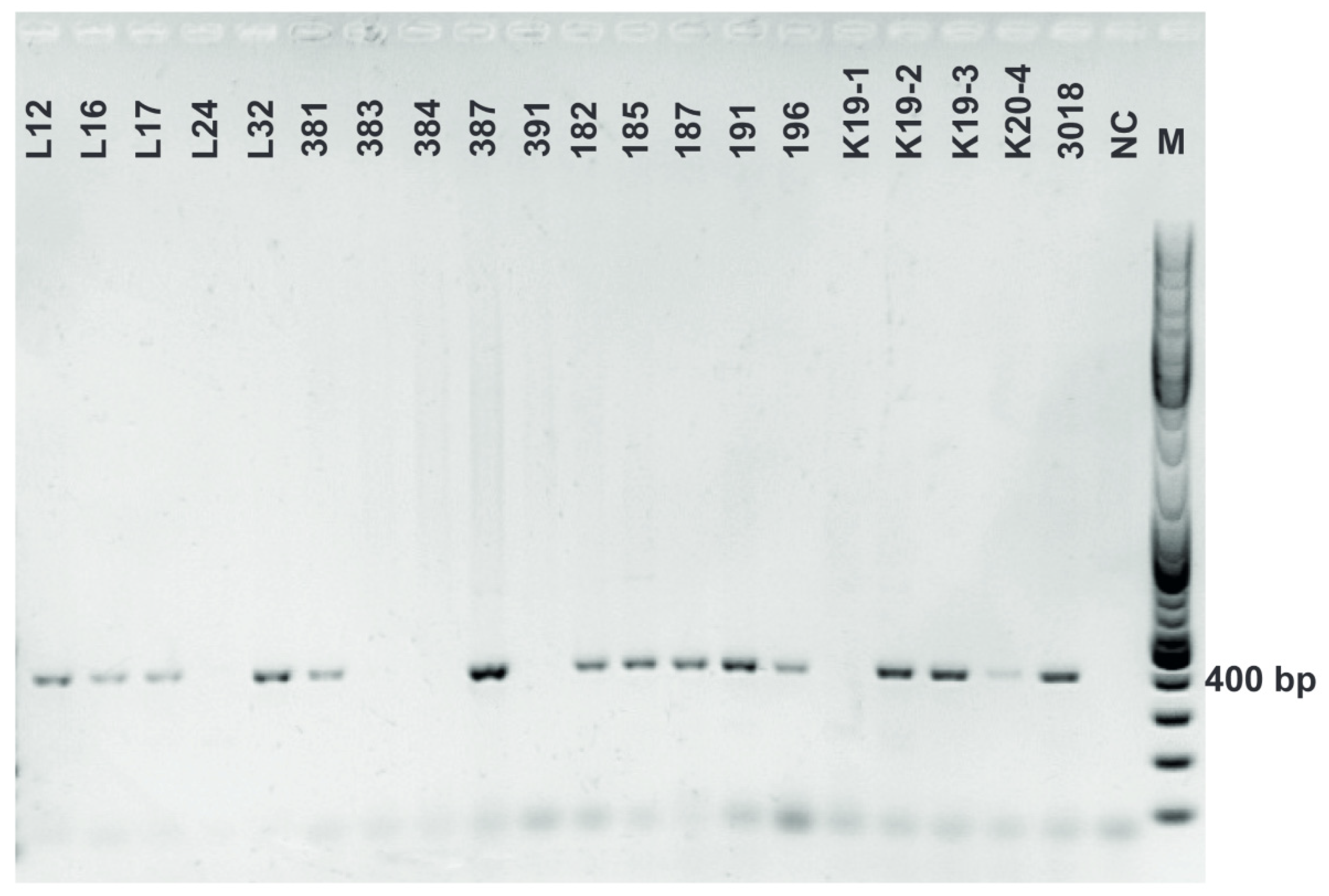 Fermentation 08 00014 g0a9 550