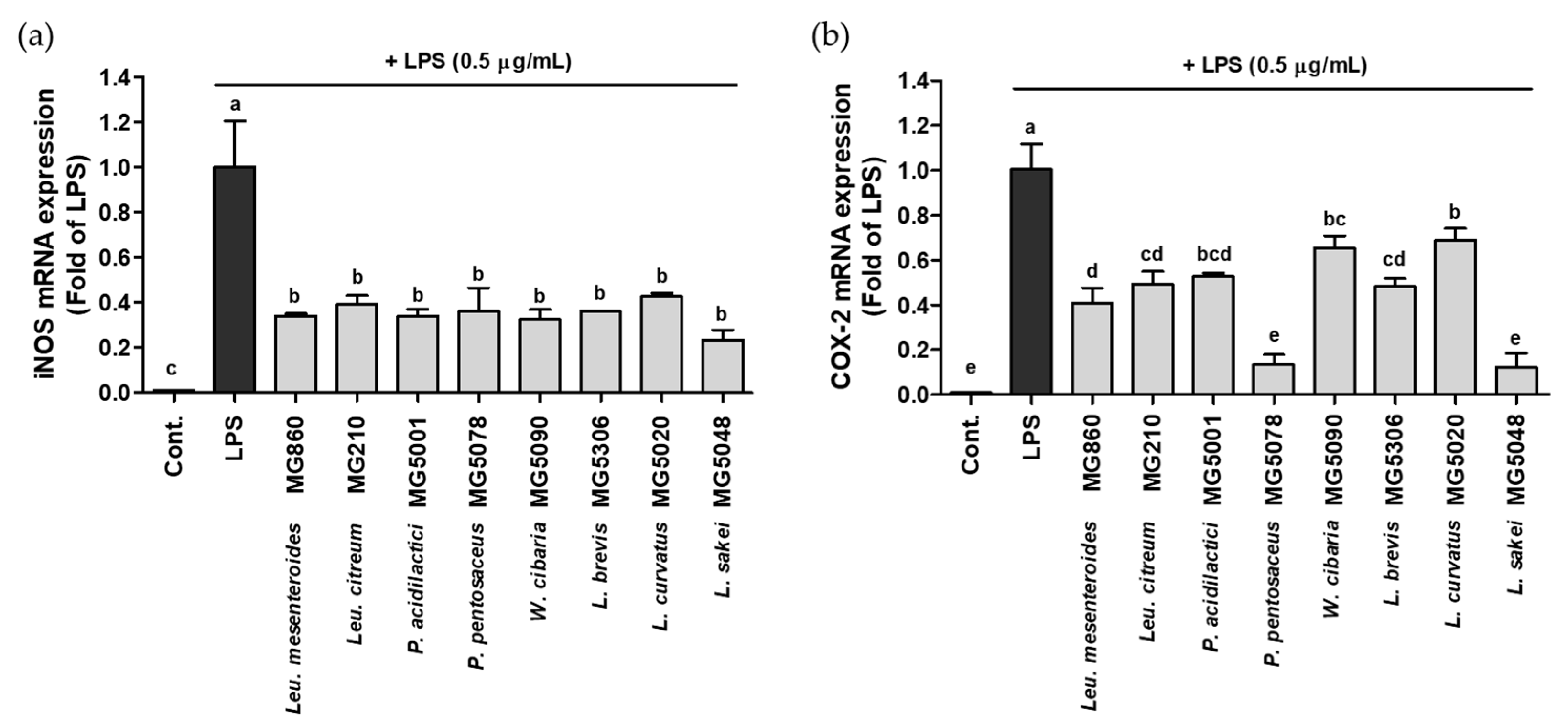 Fermentation 08 00029 g002 550