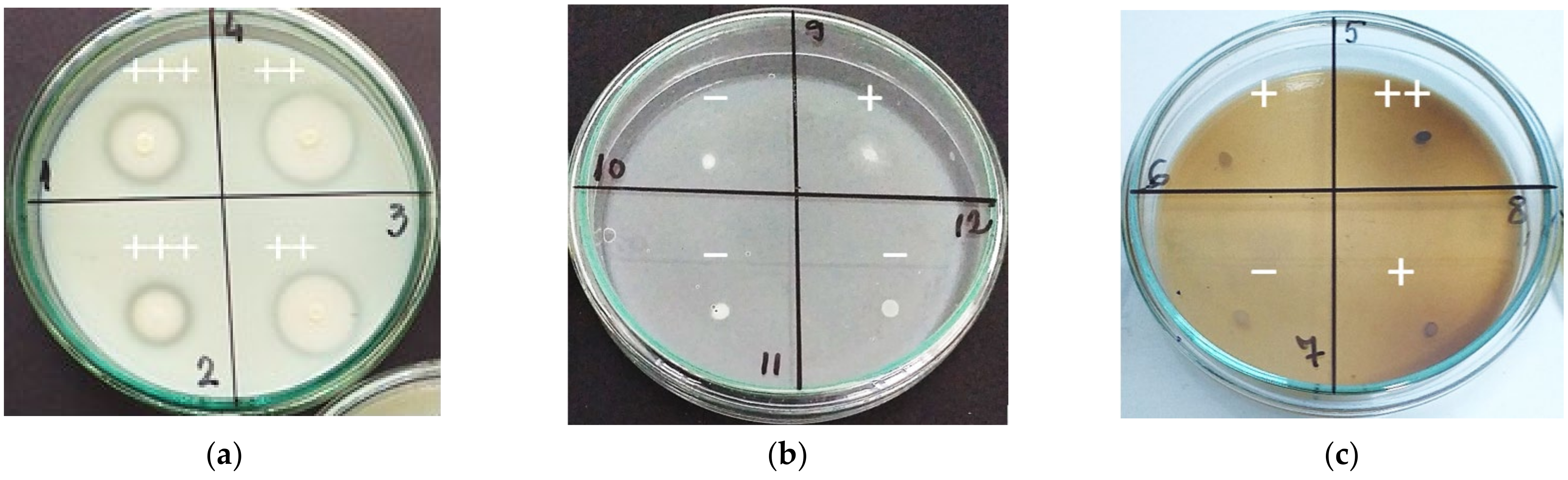 Fermentation 08 00031 g005