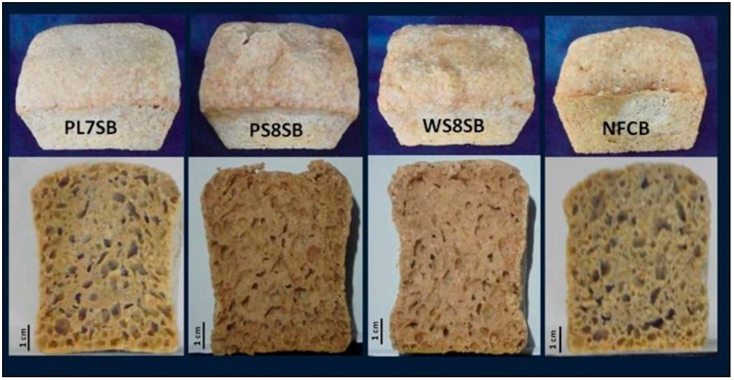 Fermentation 08 00032 g001 550