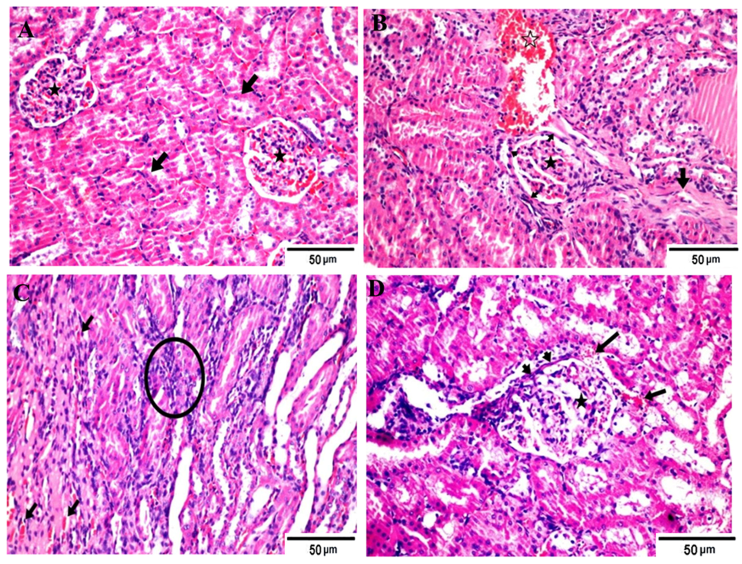 Fermentation 08 00041 g001