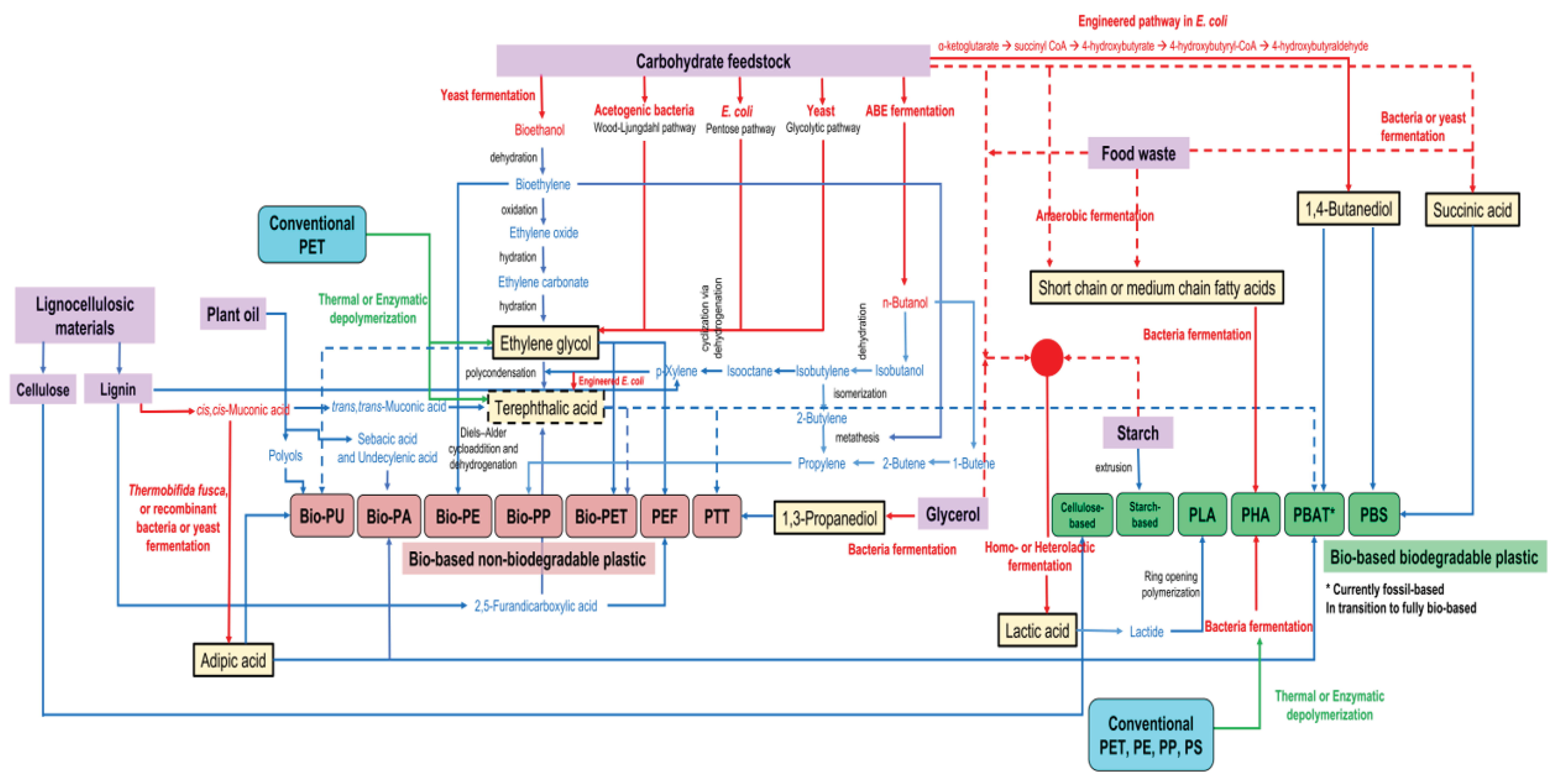 Fermentation 08 00047 g005
