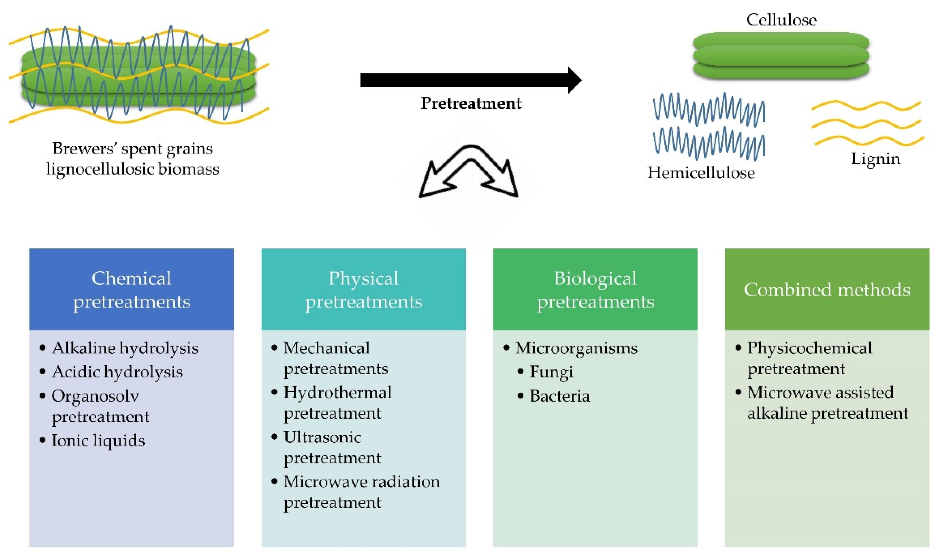 Fermentation 08 00050 g002 550