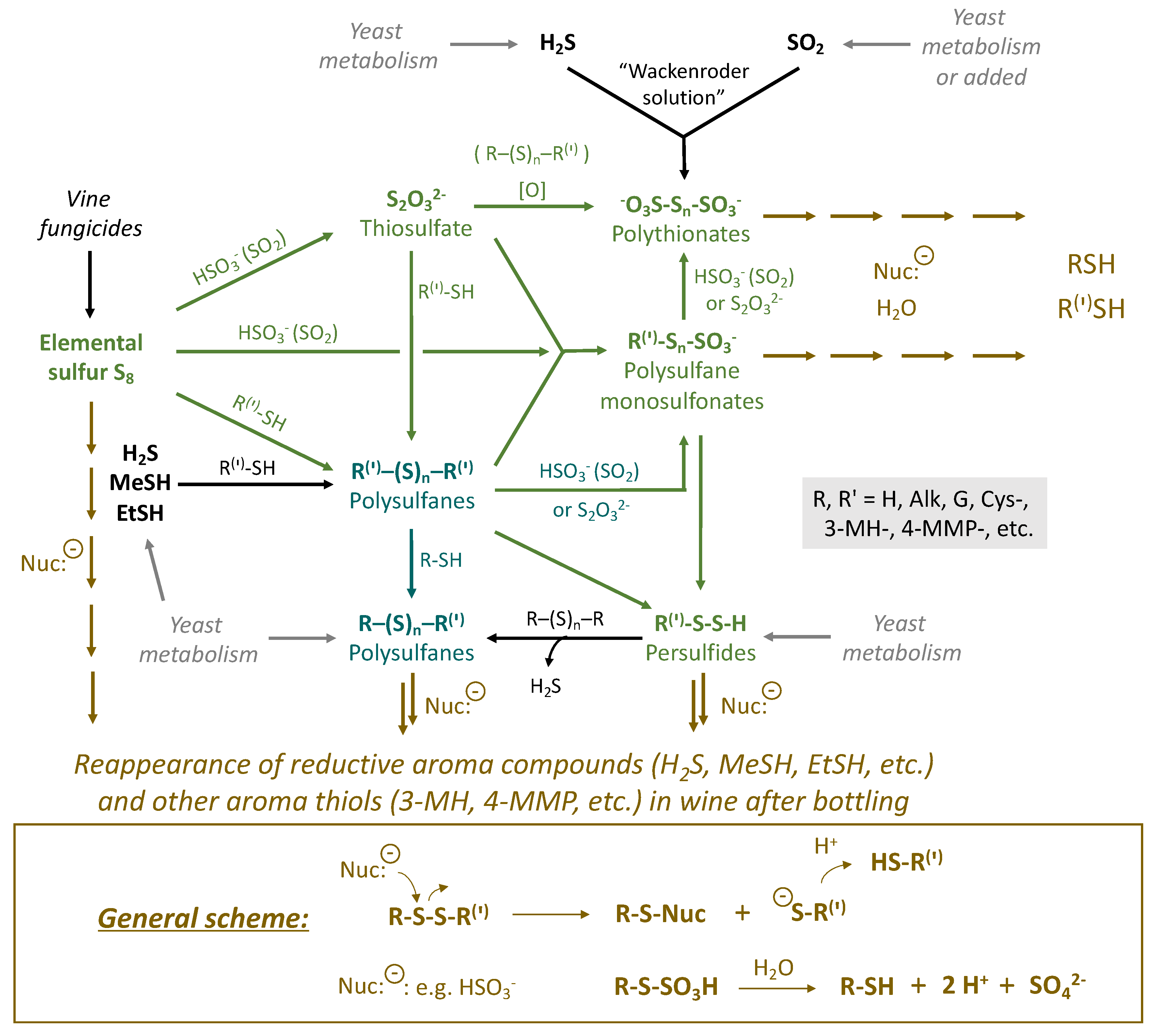 Fermentation 08 00053 g002 550