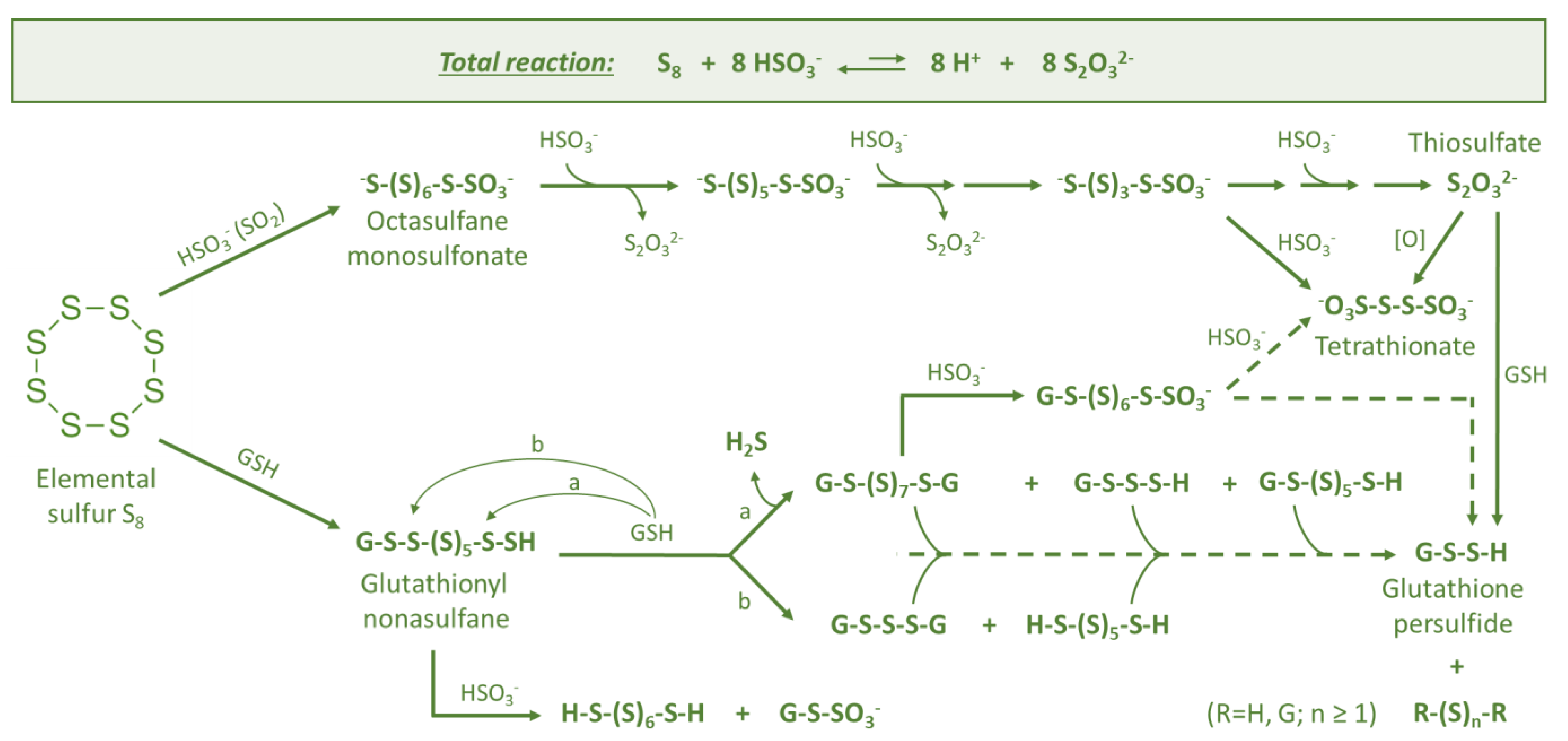 Fermentation 08 00053 g003 550