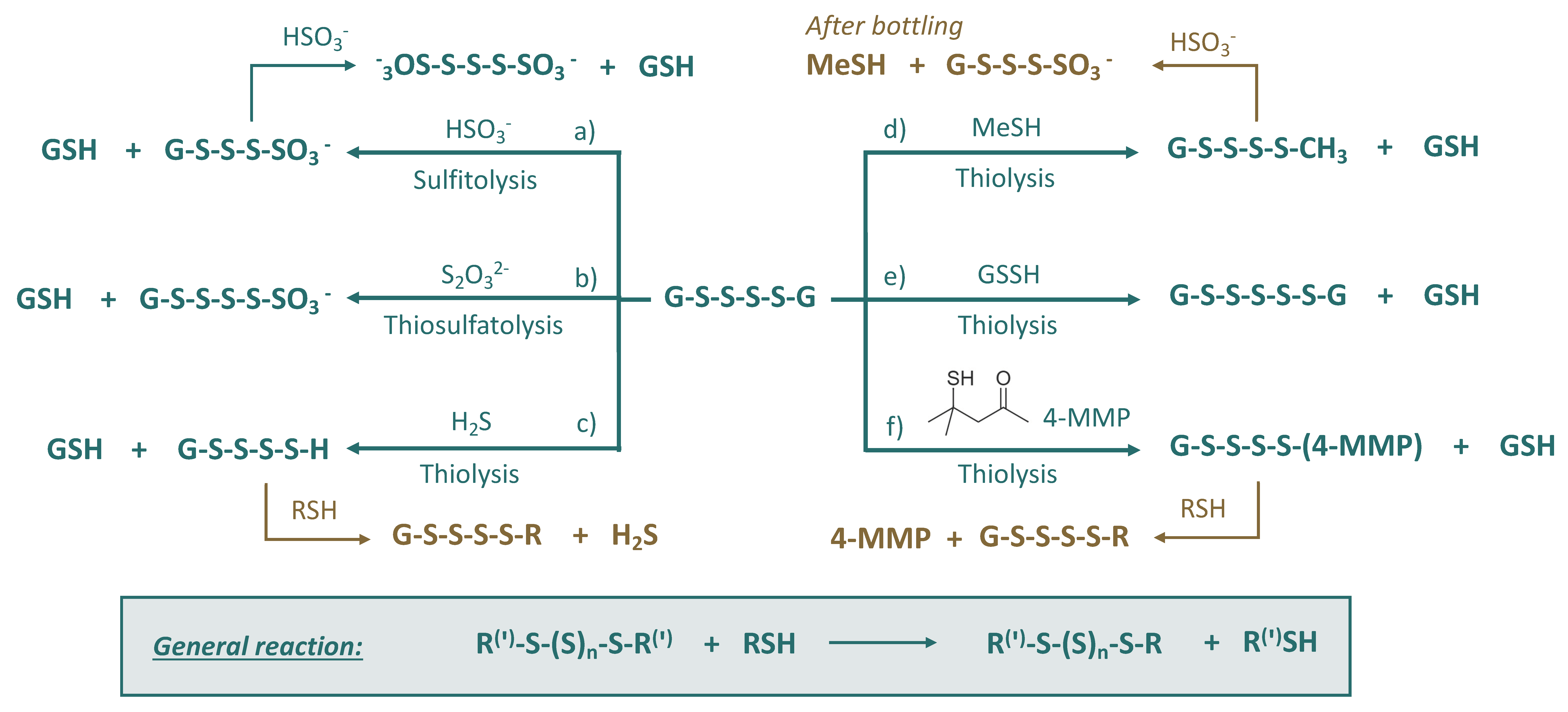 Fermentation 08 00053 g005 550