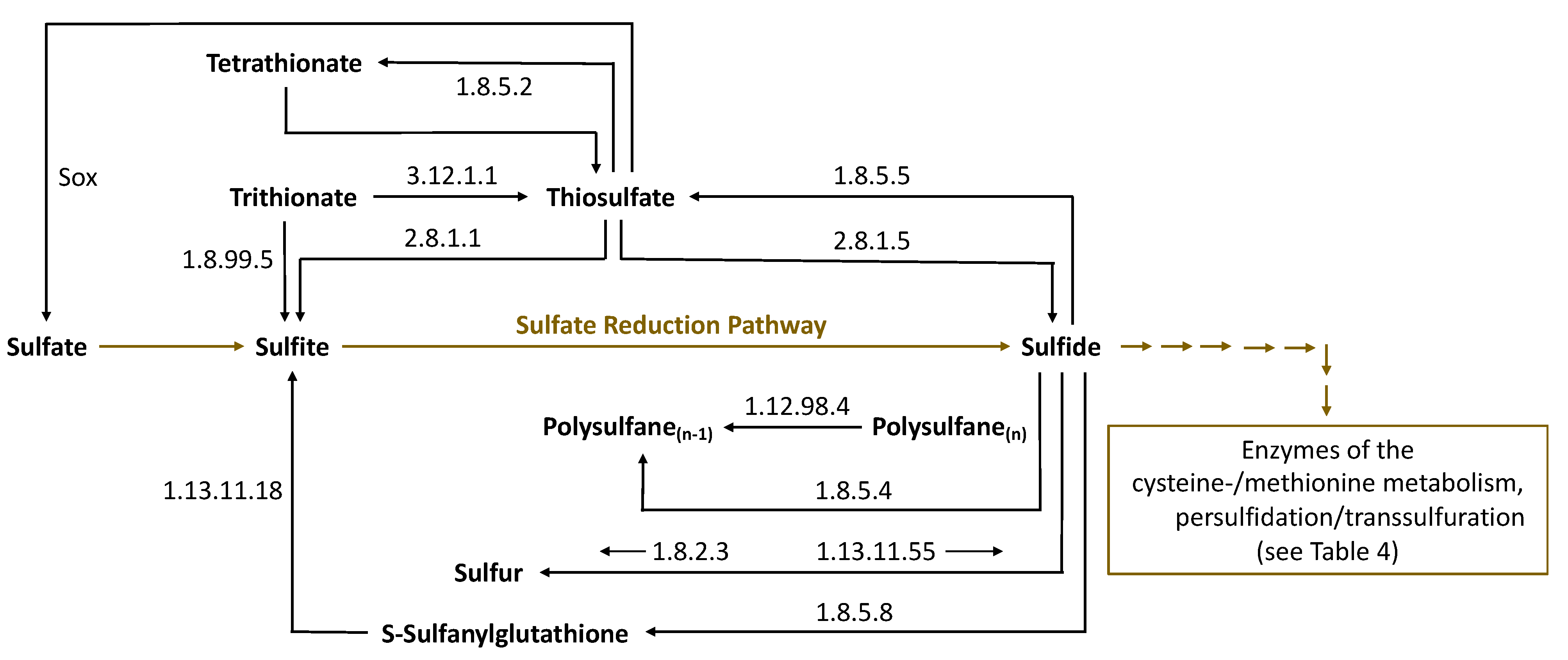 Fermentation 08 00053 g006 550