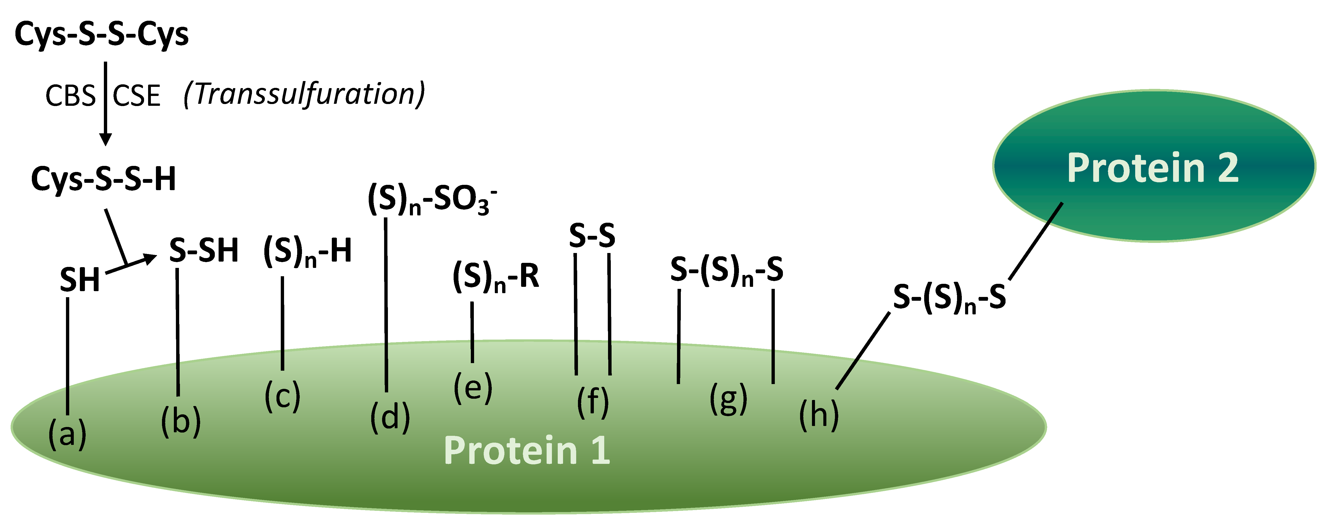 Fermentation 08 00053 g007 550