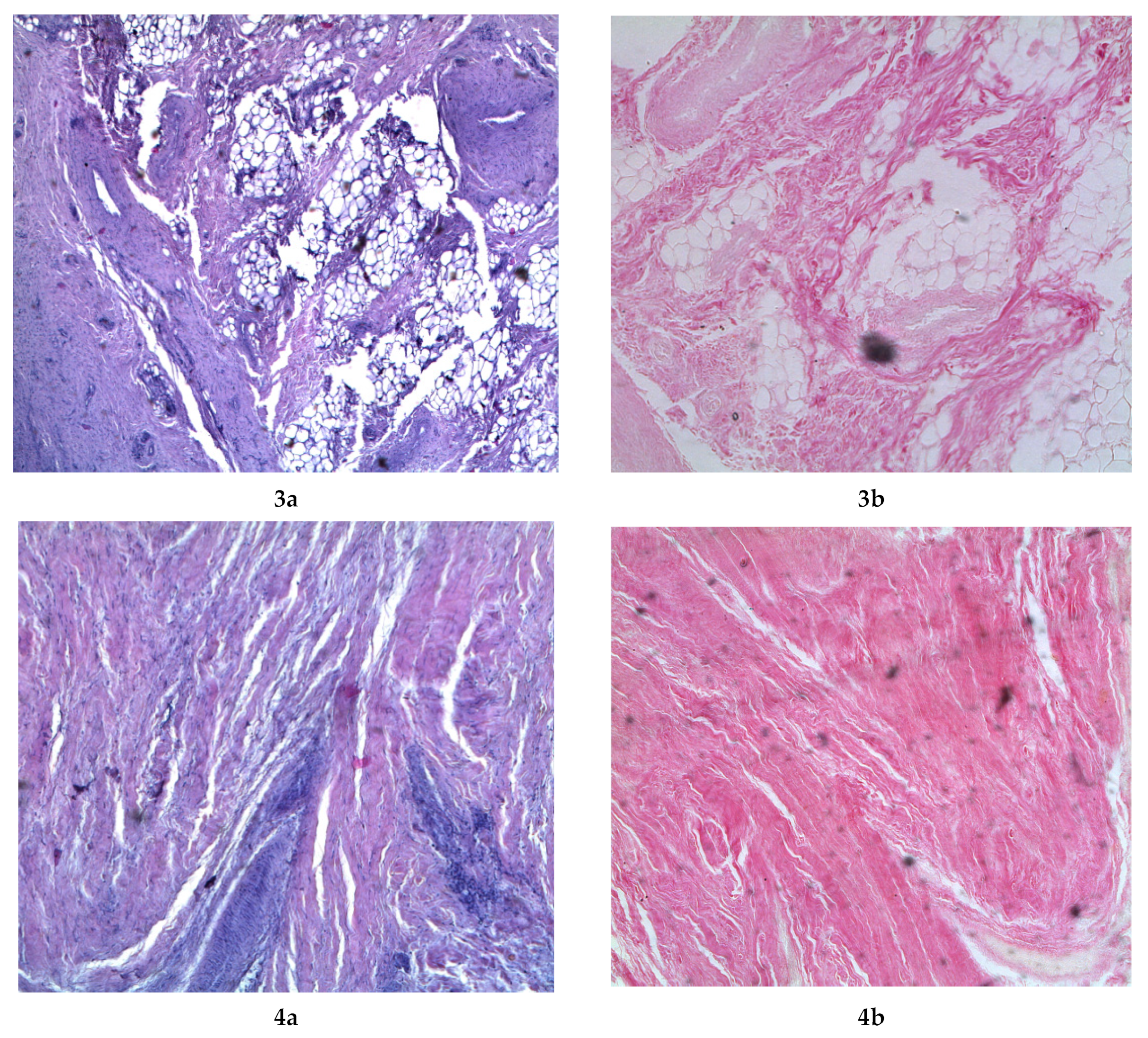 Fermentation 08 00056 g006b 550