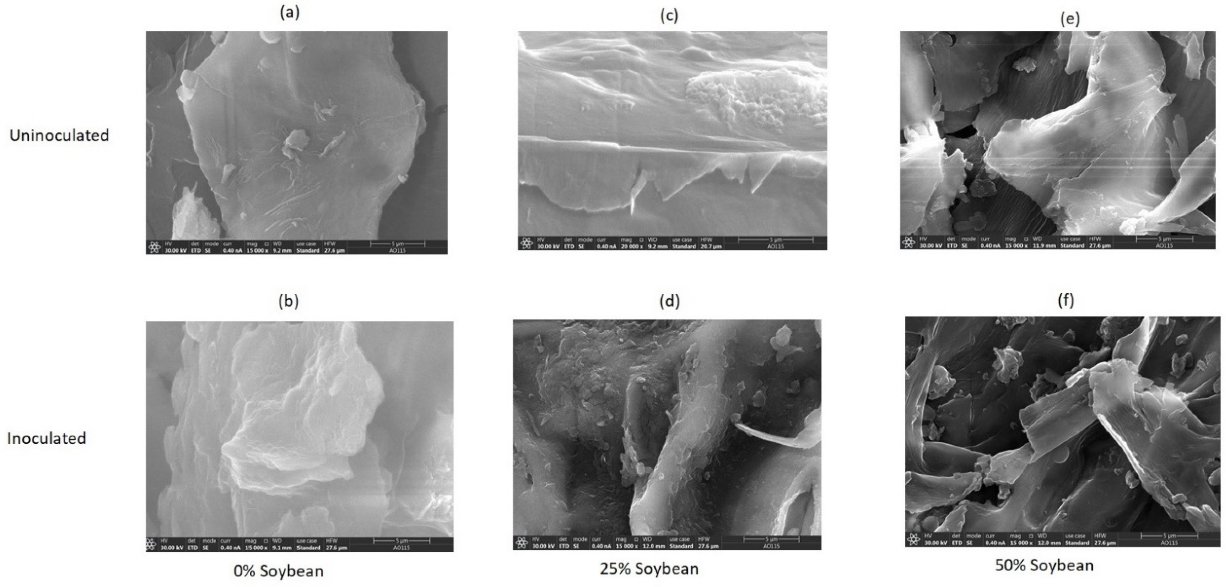 Fermentation 08 00070 g004 550