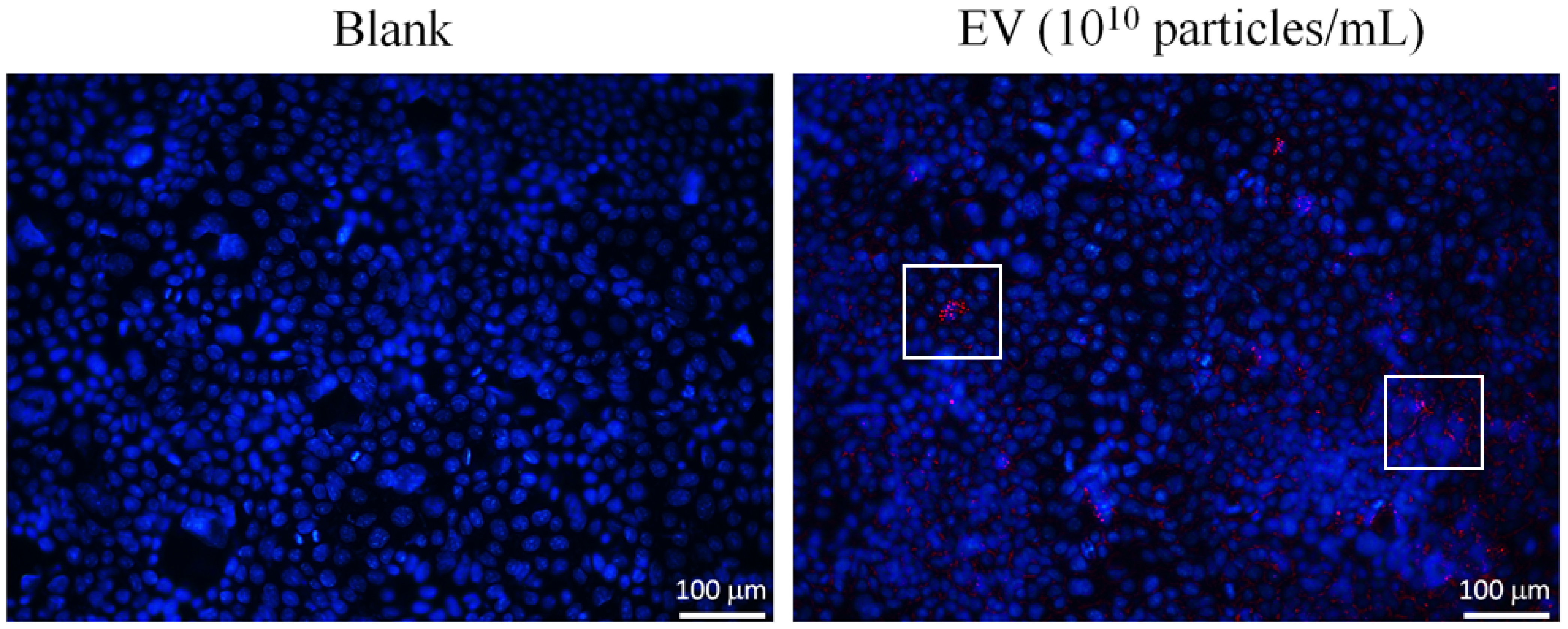 Fermentation 08 00074 g005