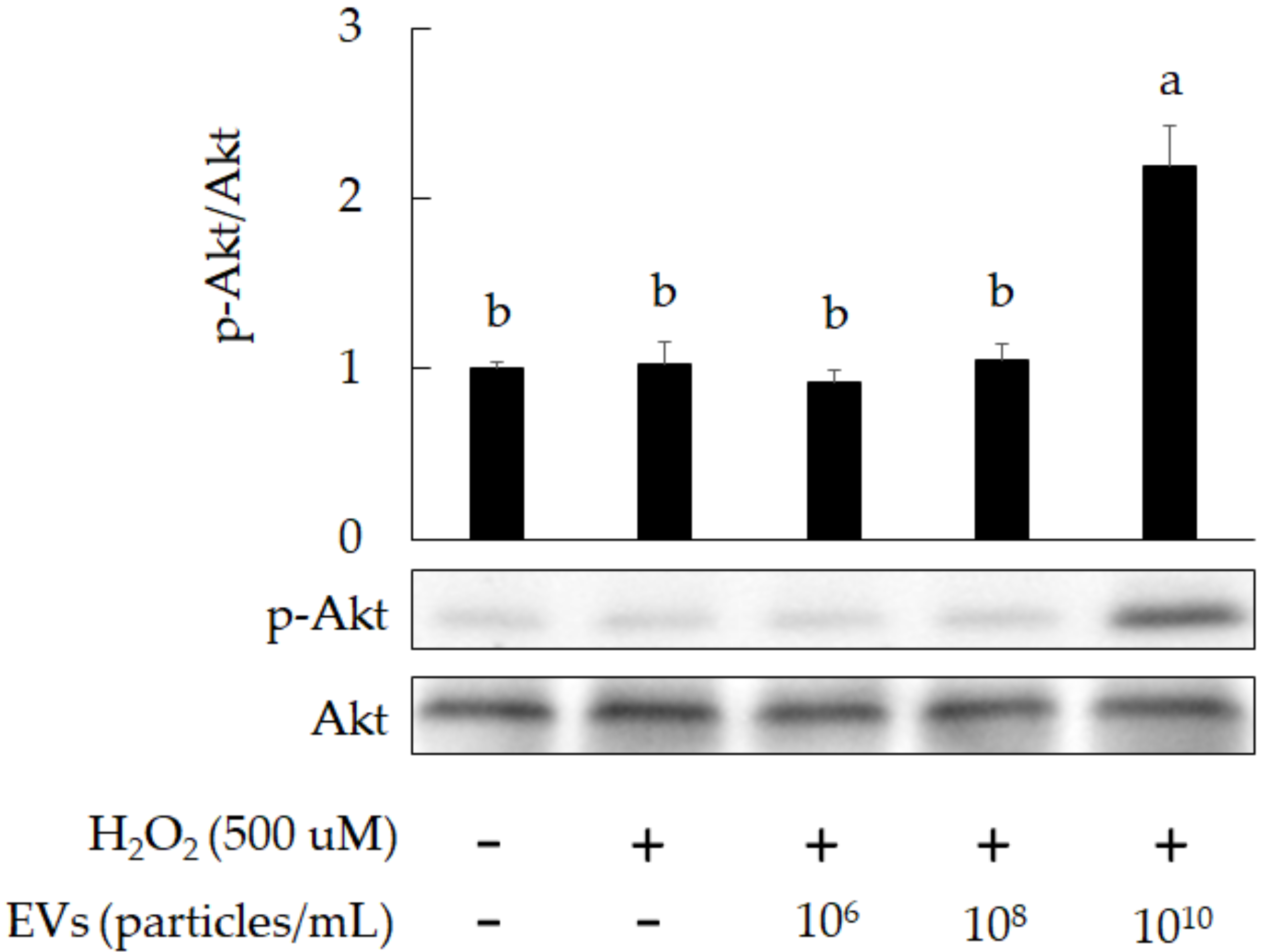 Fermentation 08 00074 g006