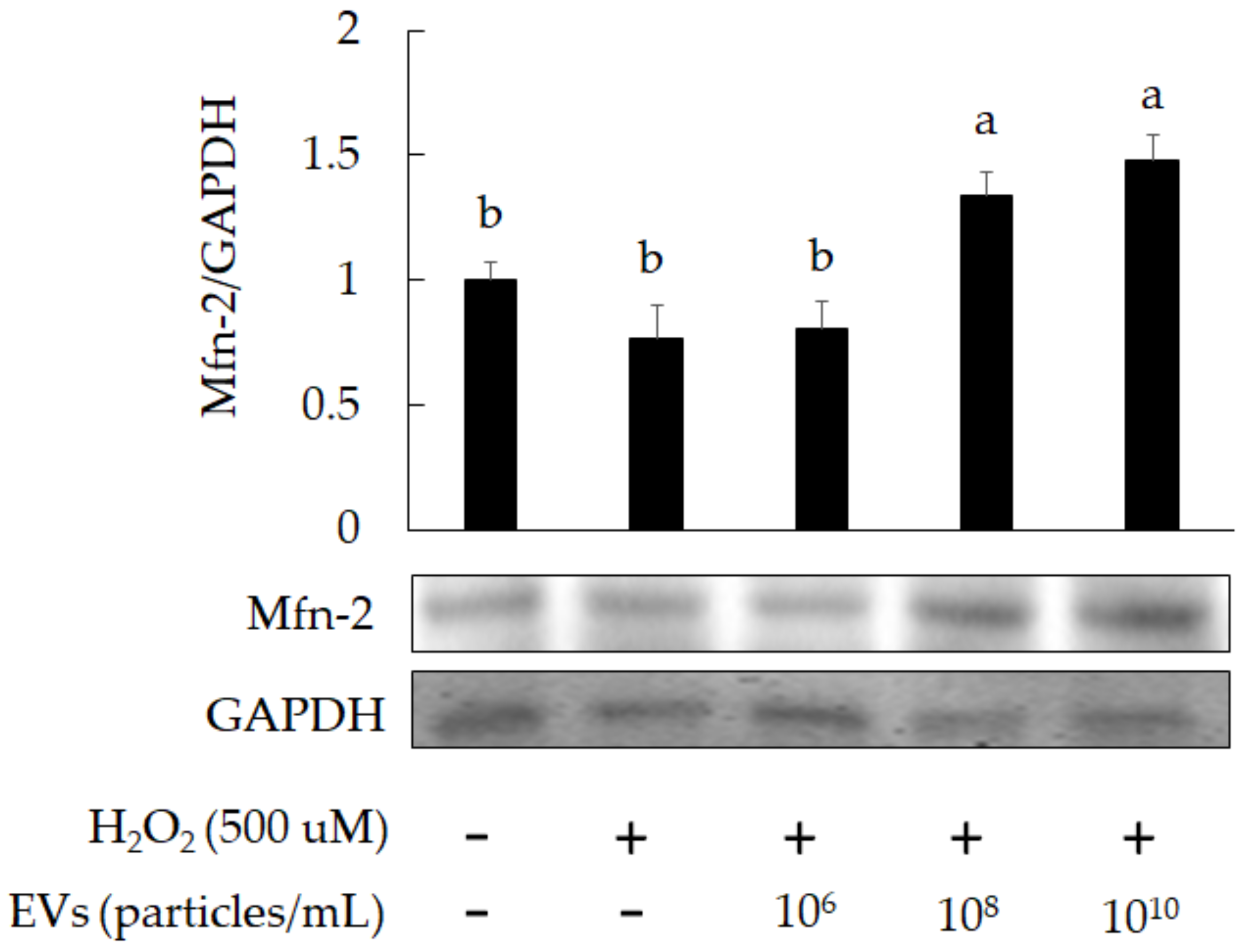 Fermentation 08 00074 g007