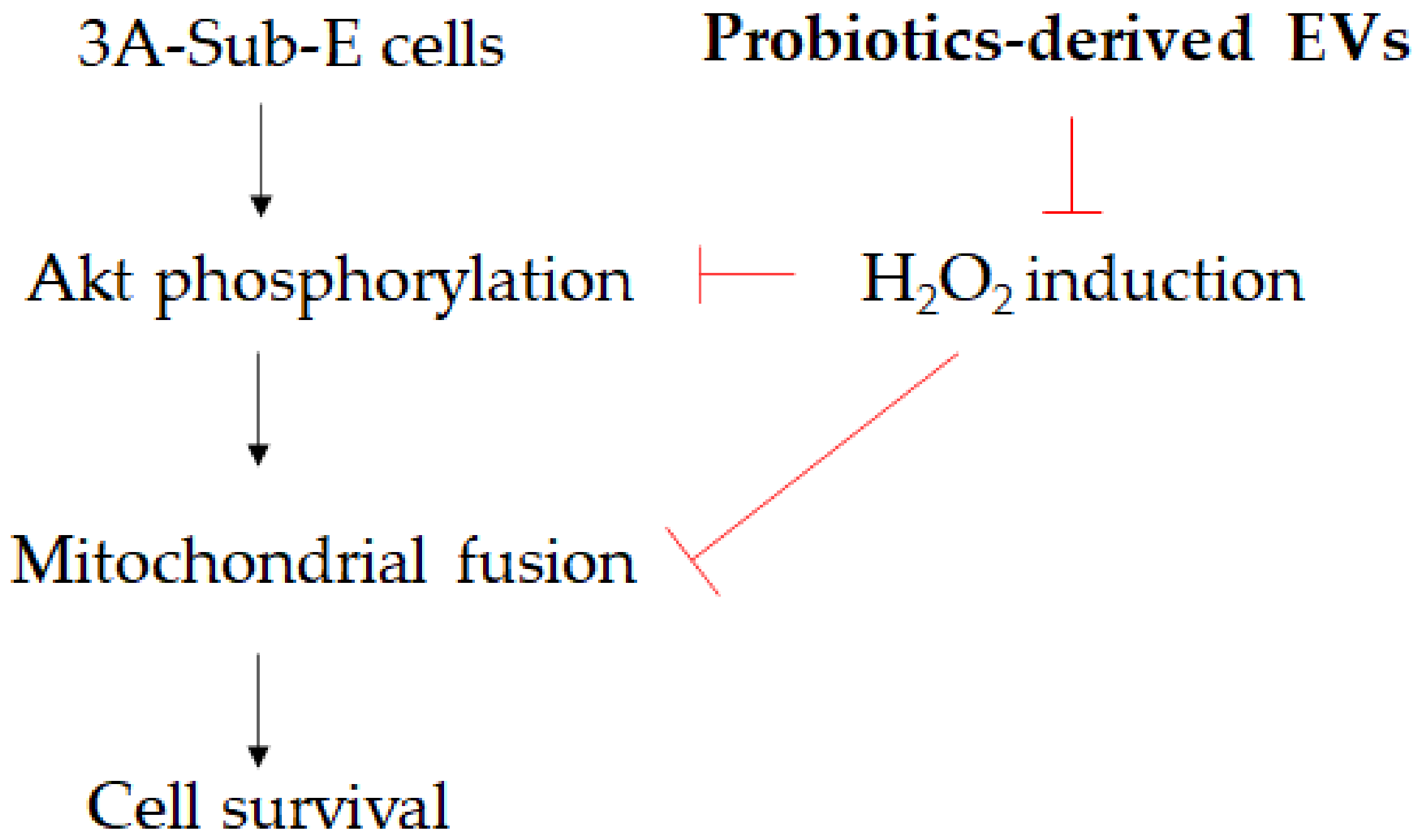 Fermentation 08 00074 g009