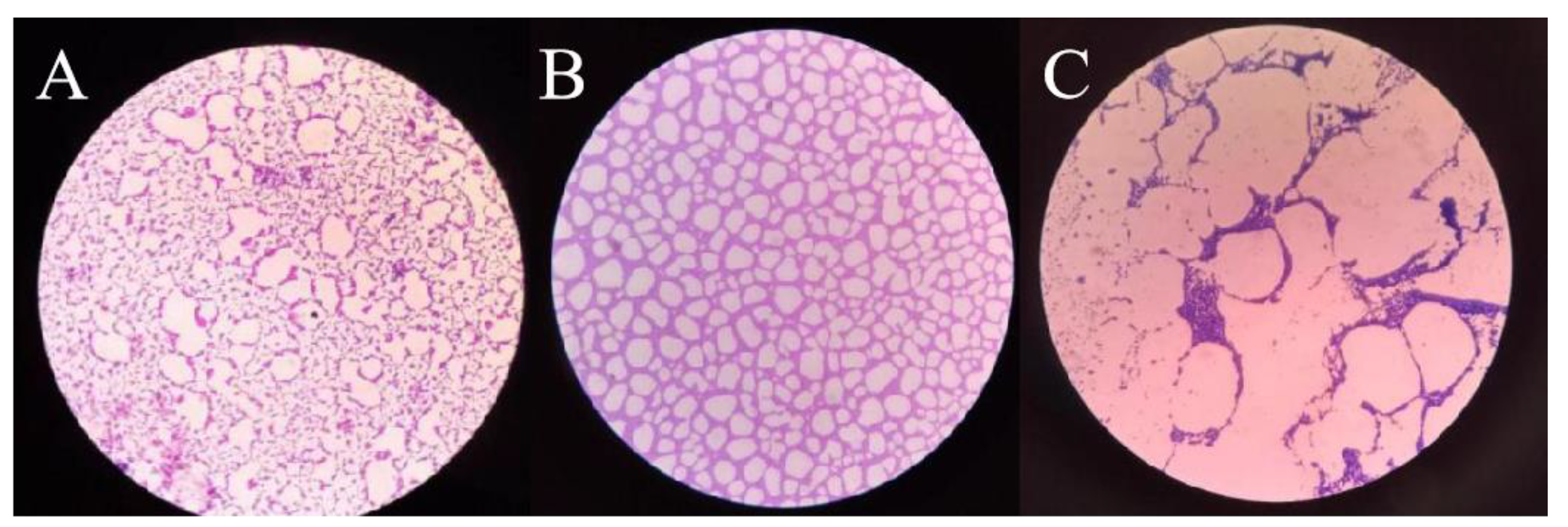Fermentation 08 00075 g006