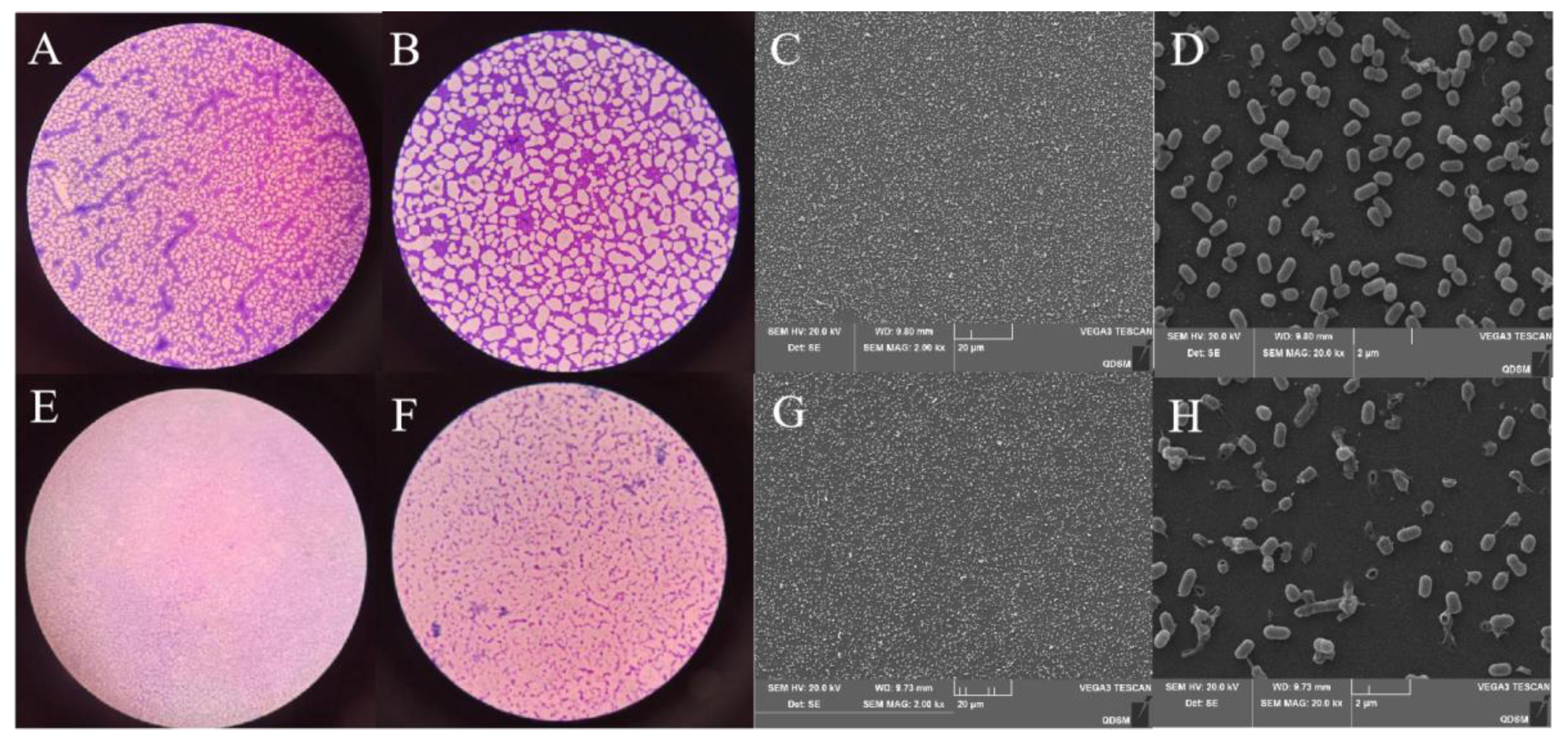 Fermentation 08 00075 g008