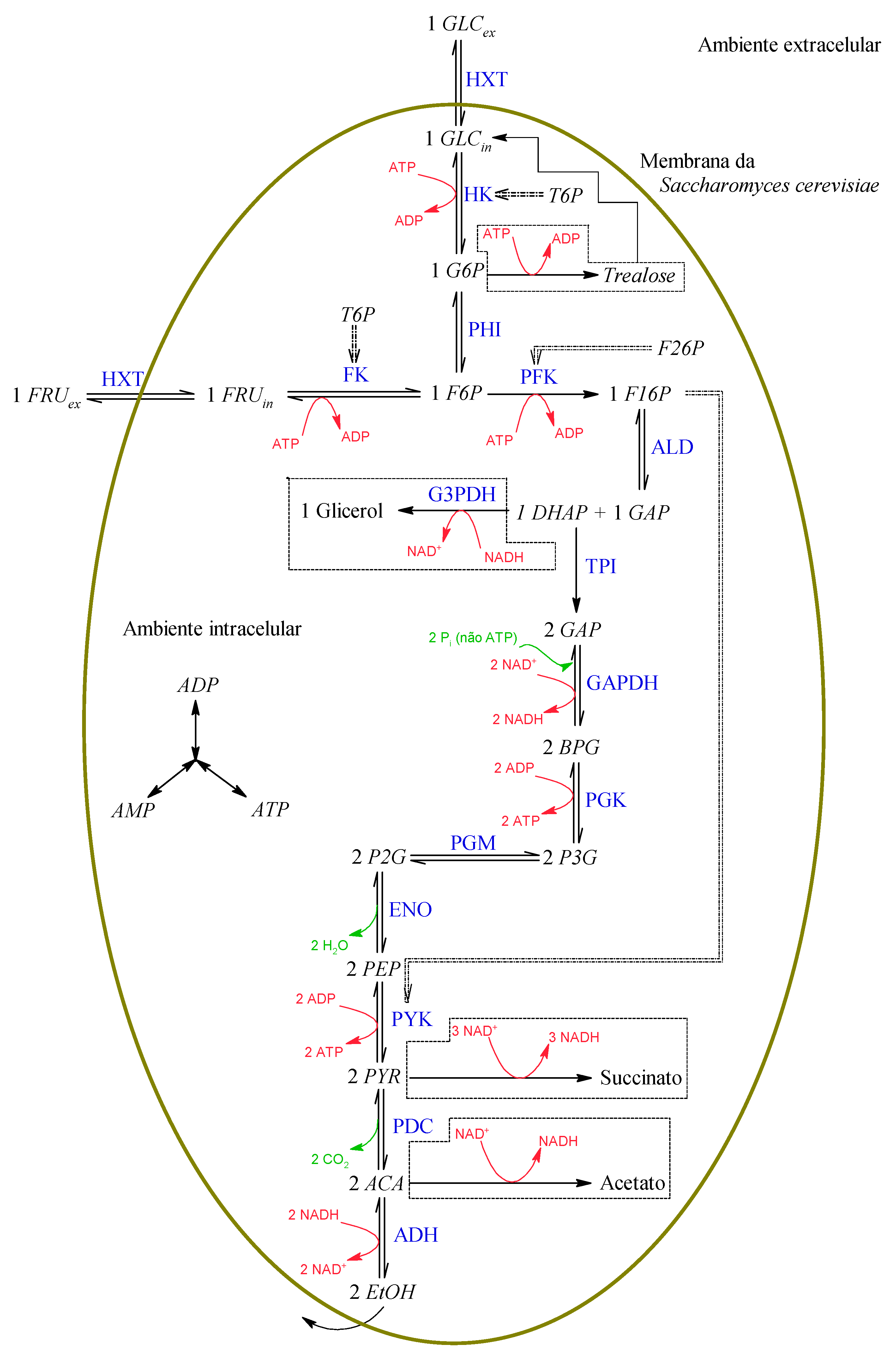 Fermentation 08 00082 g001 550
