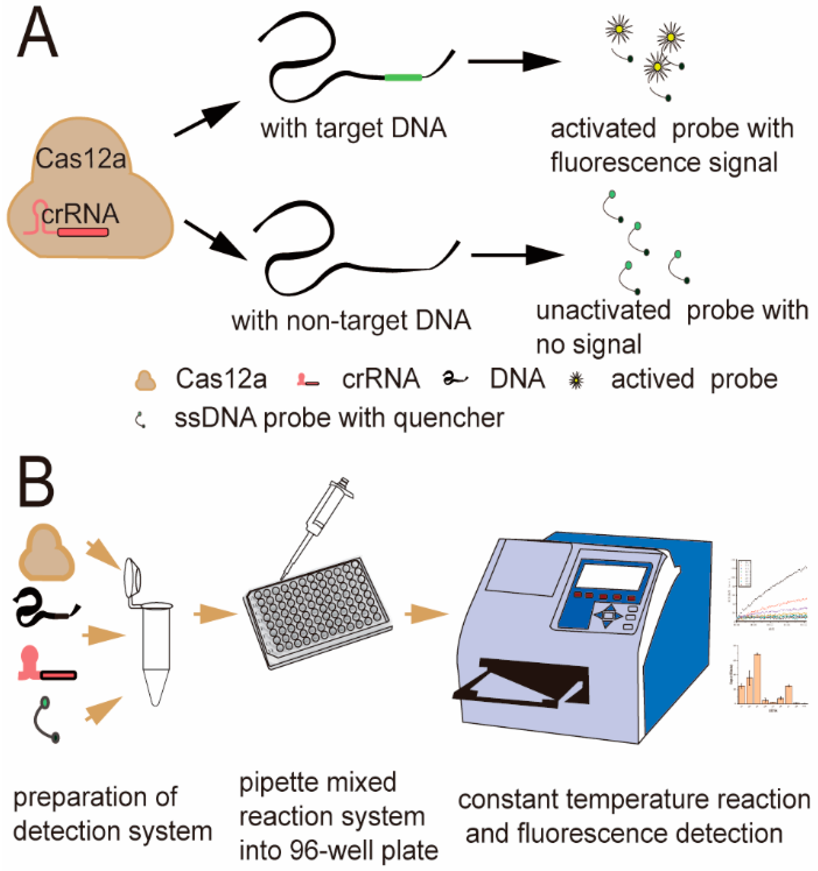 Fermentation 08 00088 g001 550