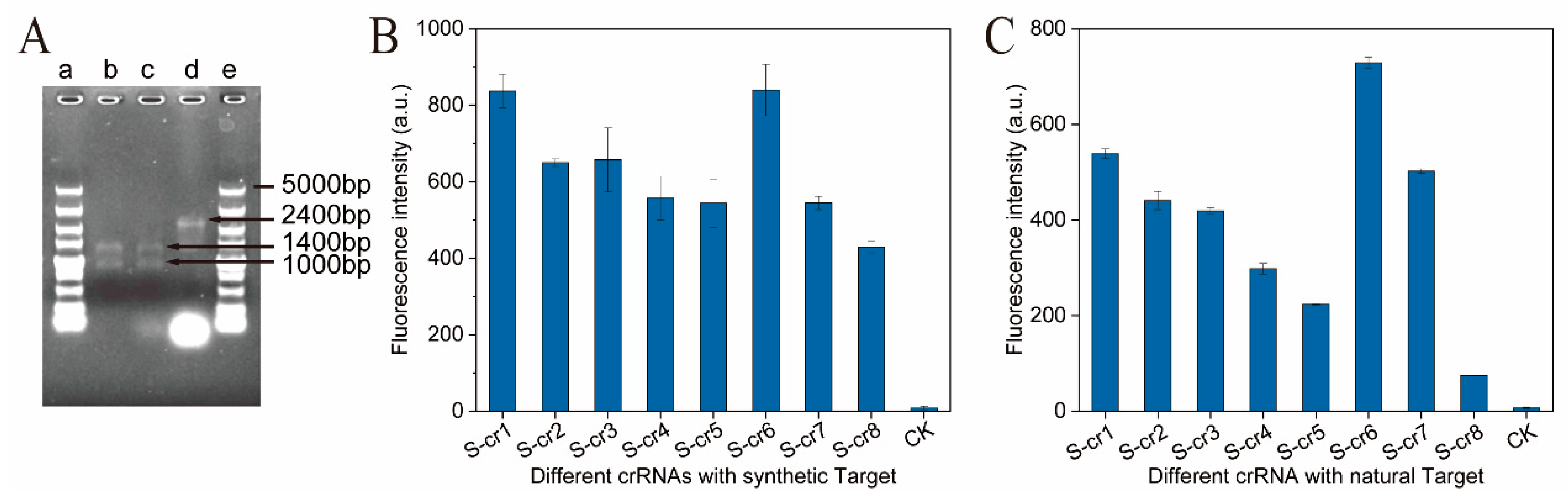 Fermentation 08 00088 g002 550