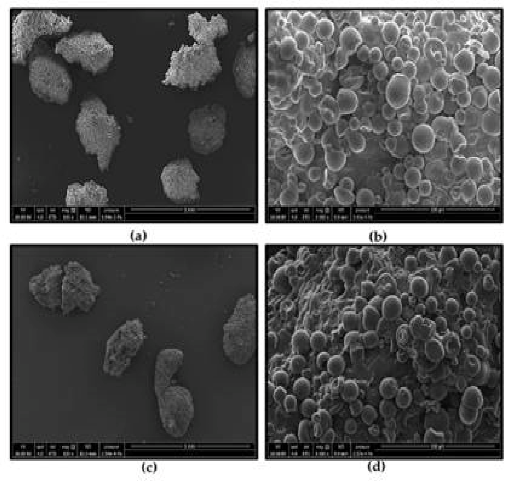 Fermentation 08 00089 g003 550