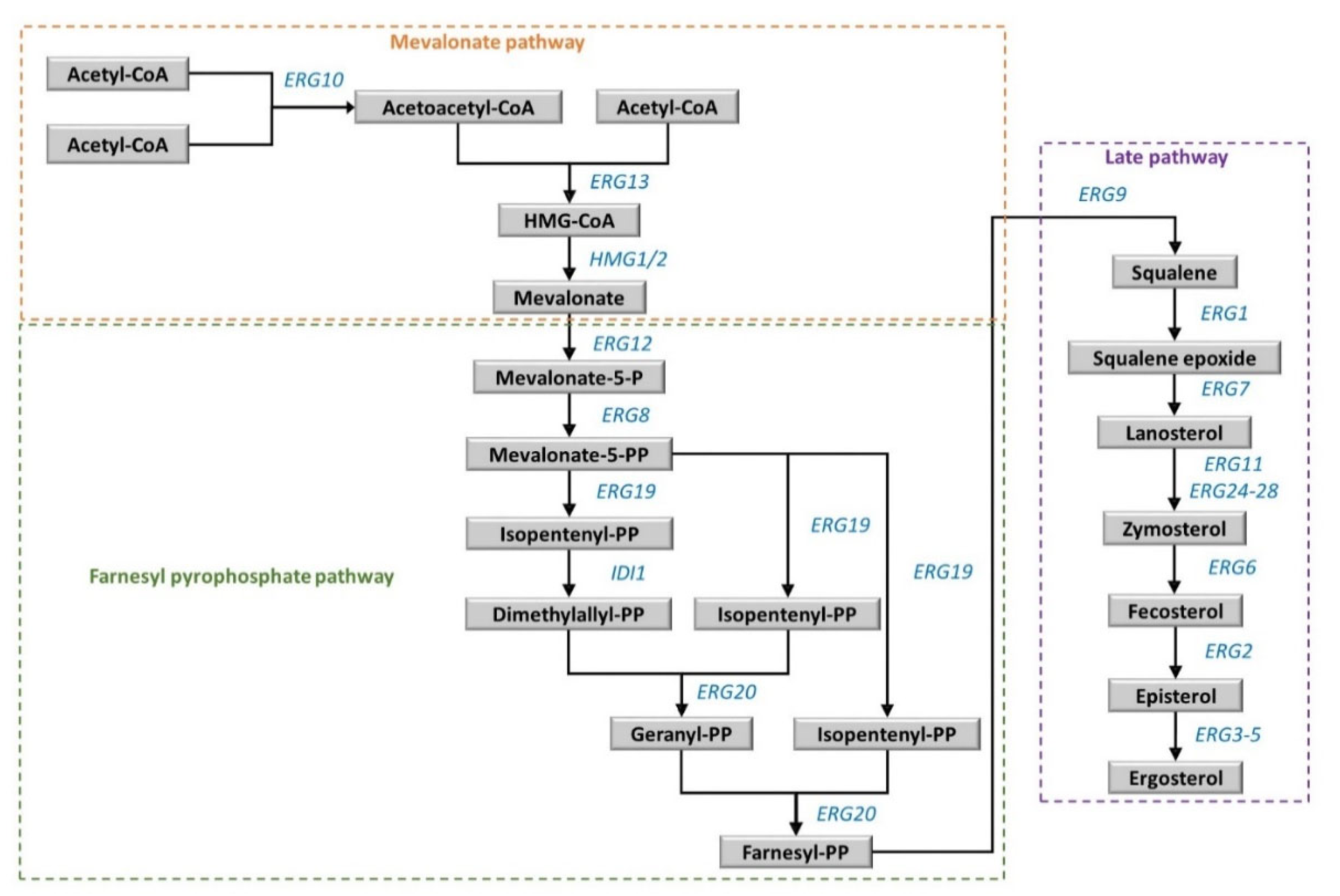 Fermentation 08 00090 g004