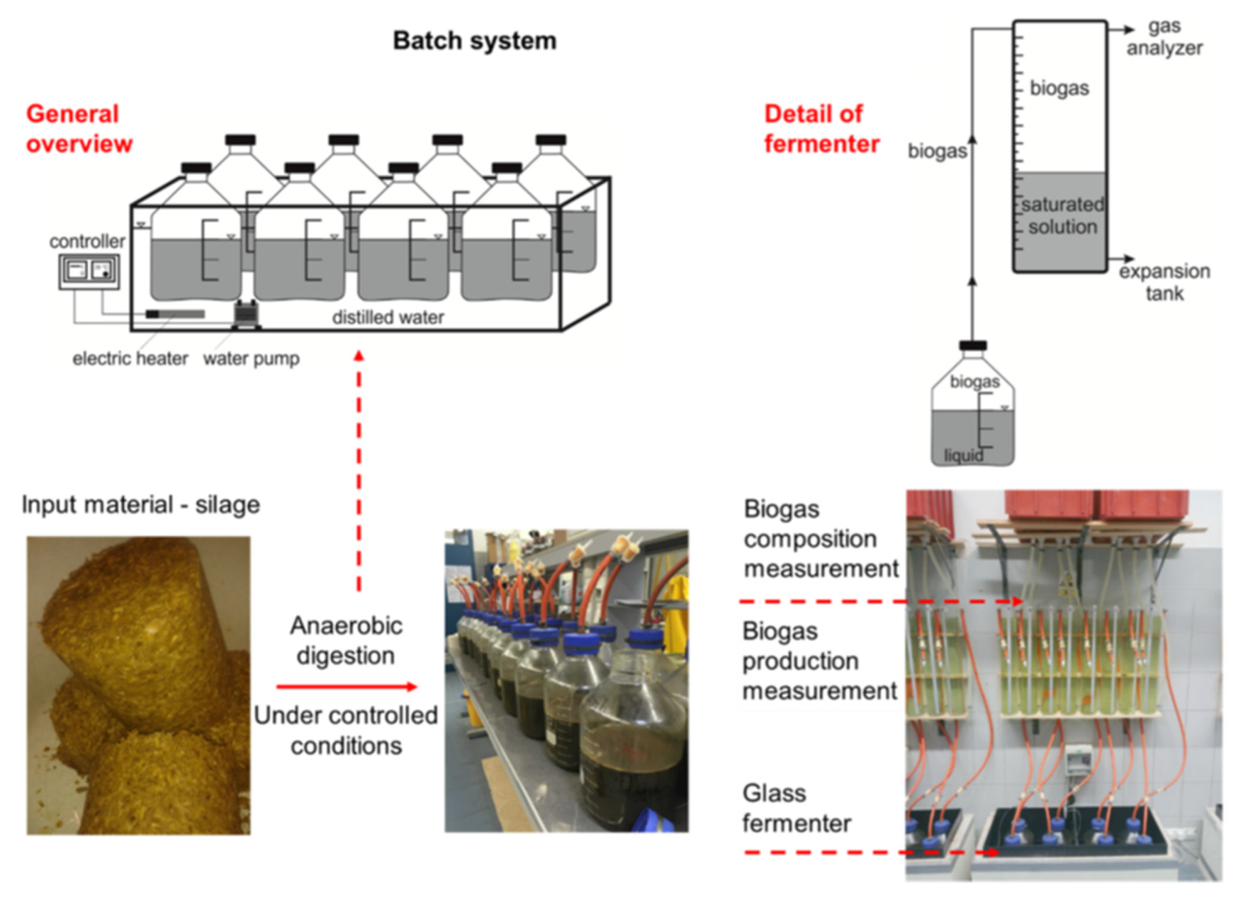 Fermentation 08 00094 g002