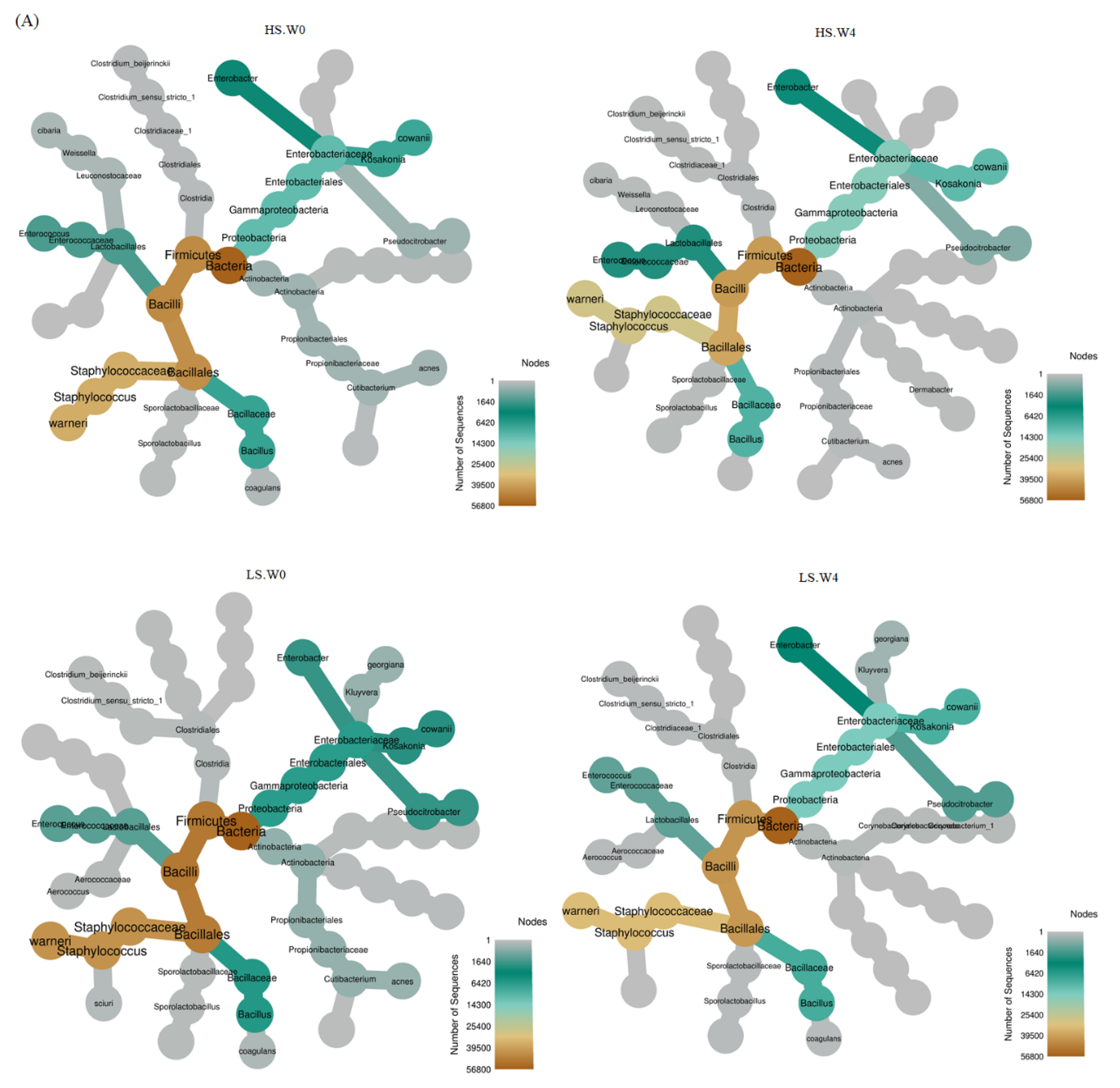 Fermentation 08 00097 g003a 550