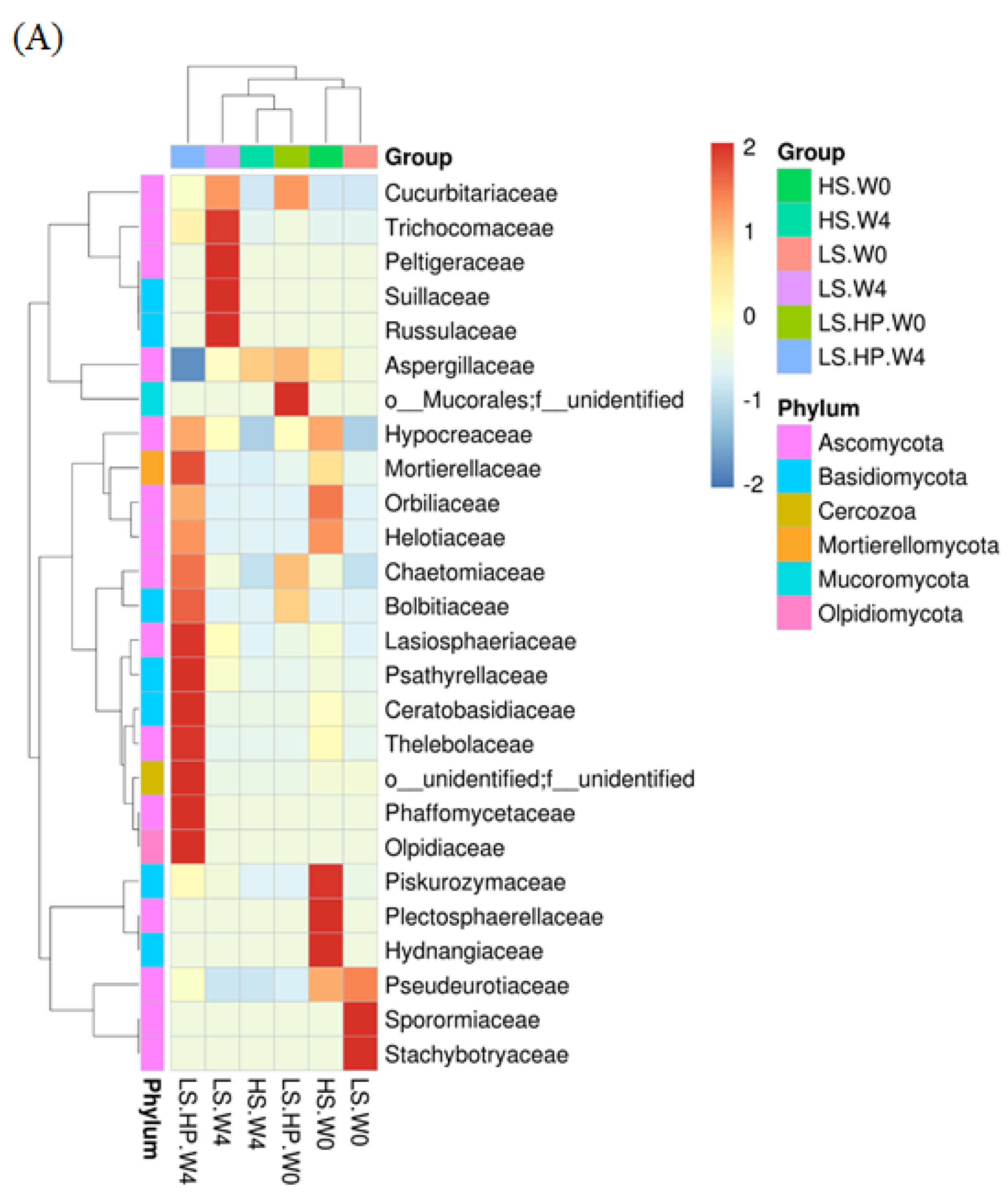Fermentation 08 00097 g006a 550