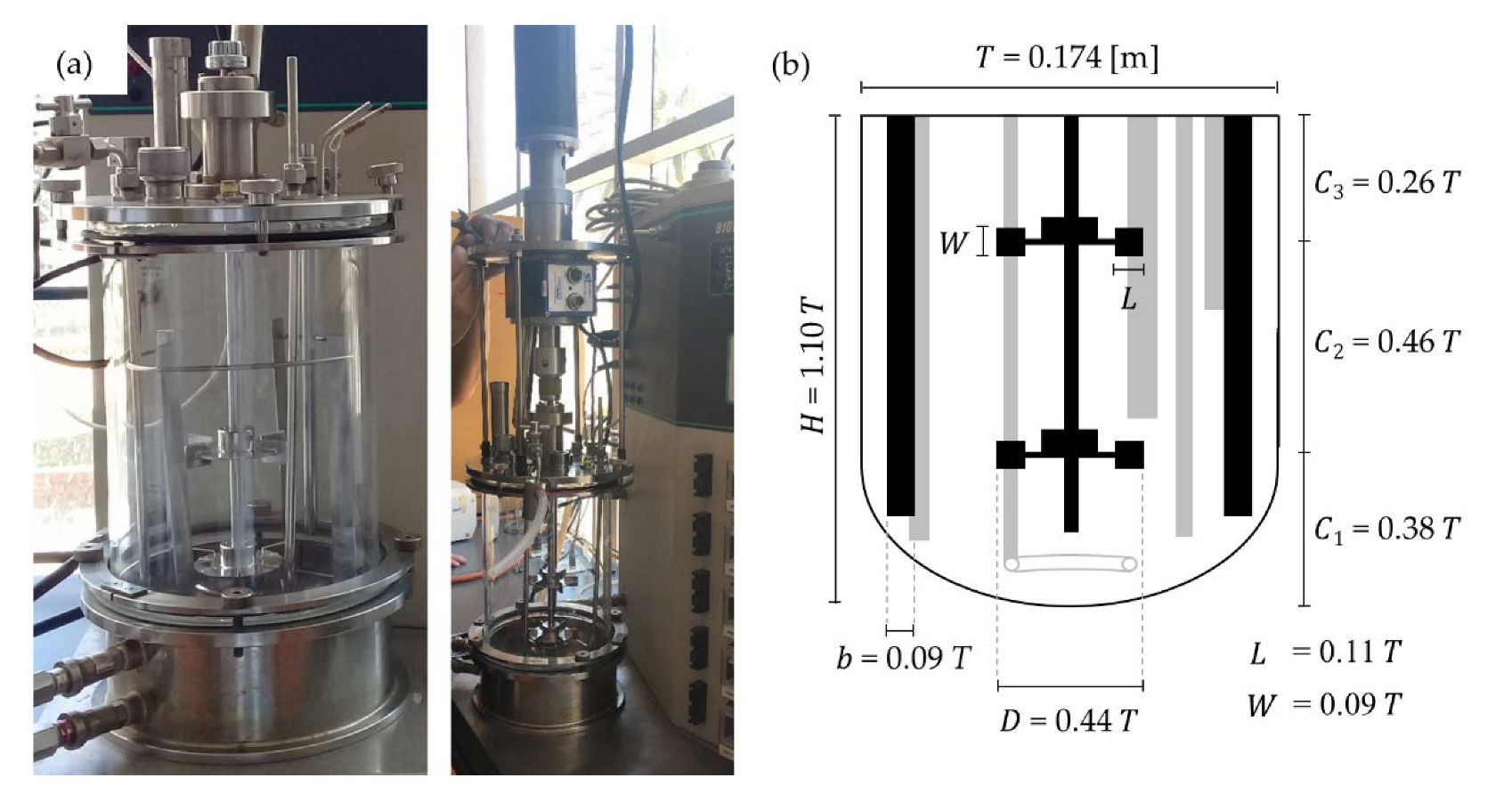 Fermentation 08 00102 g001 550