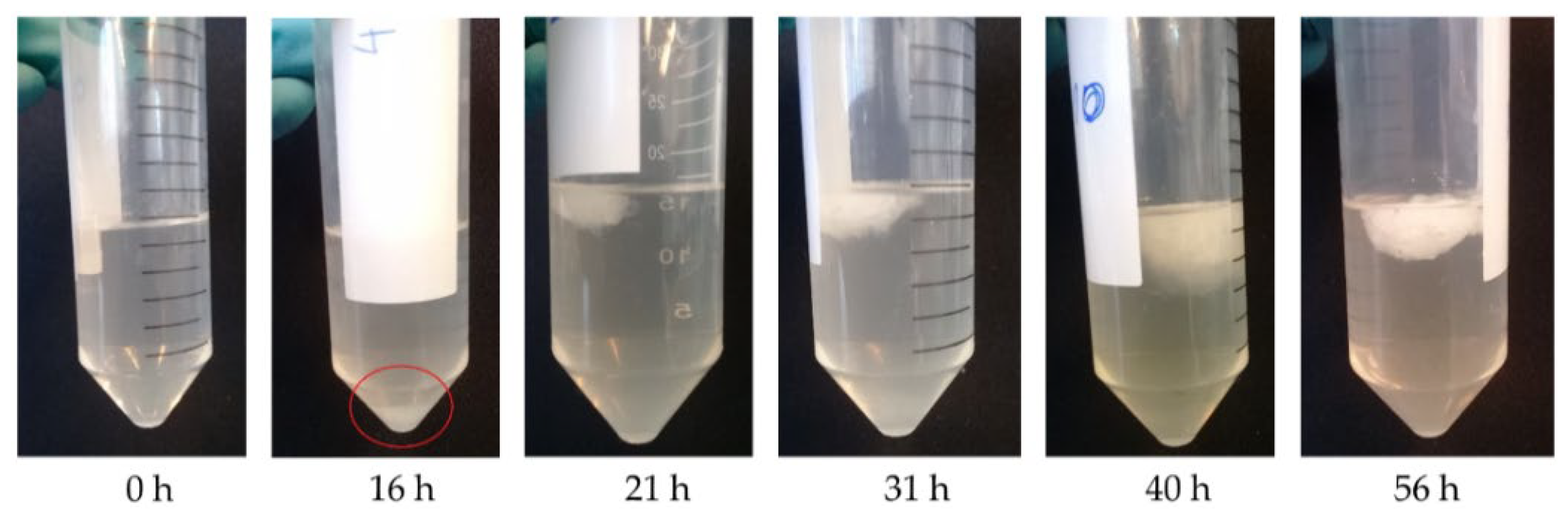 Fermentation 08 00102 g0a7 550