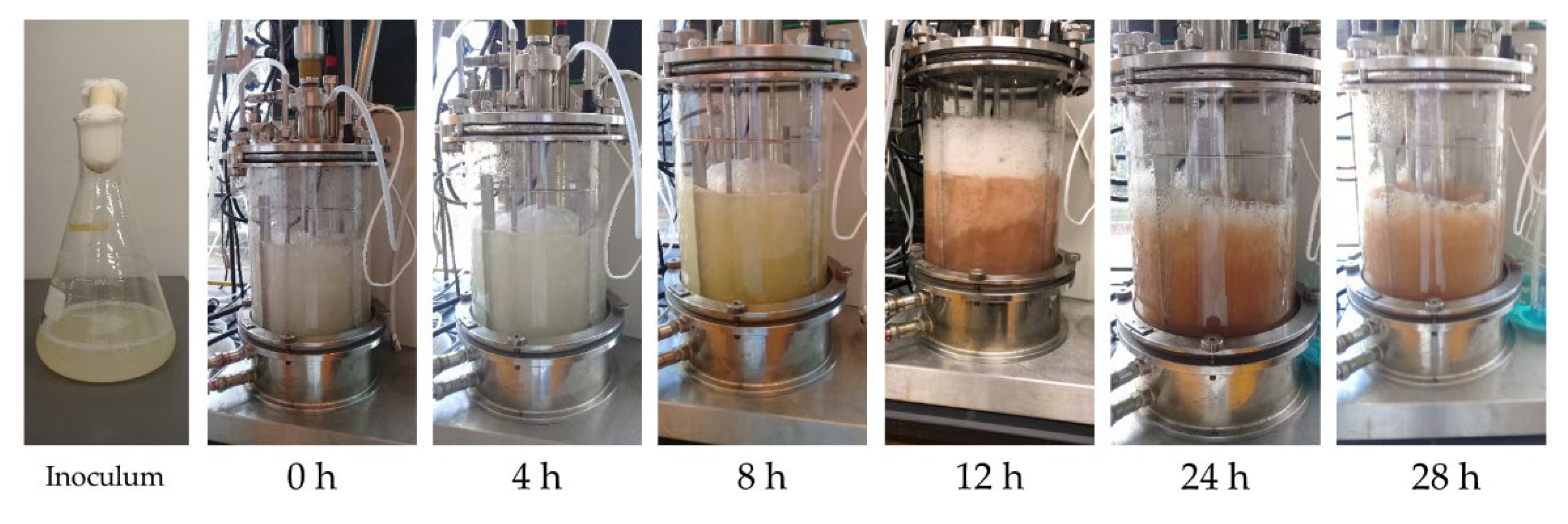 Fermentation 08 00102 g0a8 550