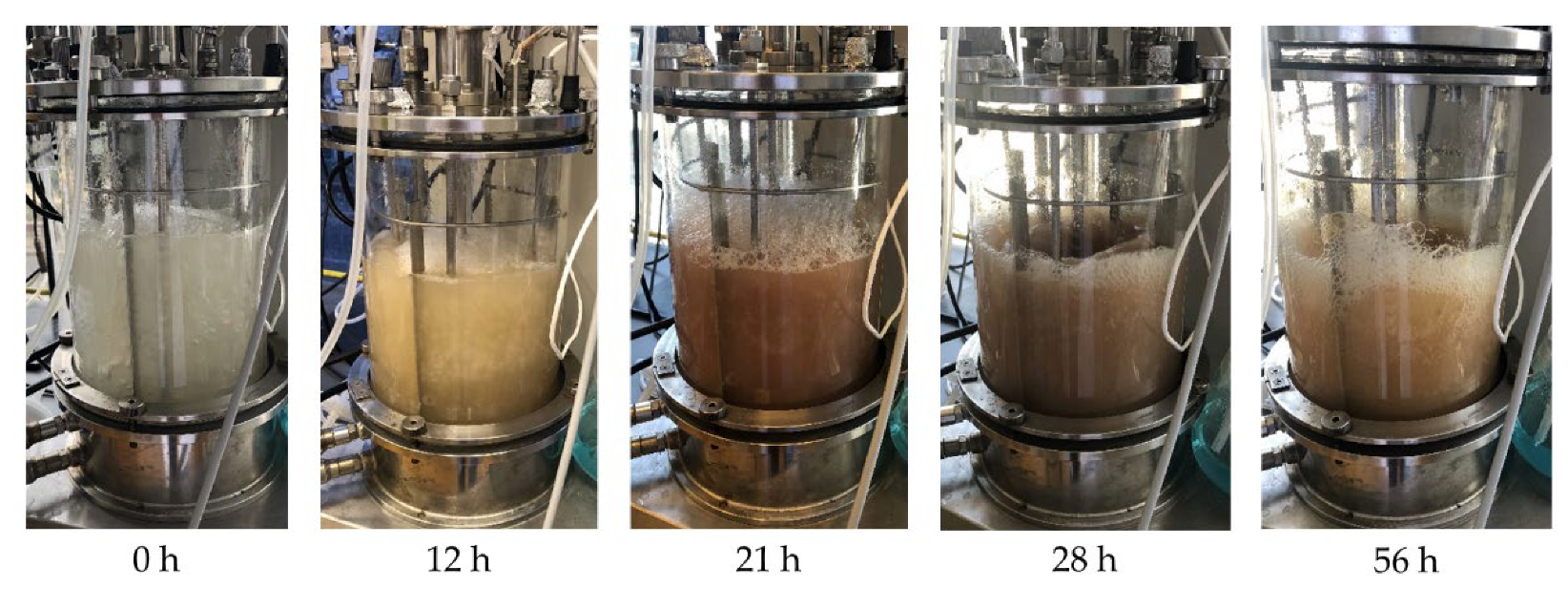 Fermentation 08 00102 g0a9 550