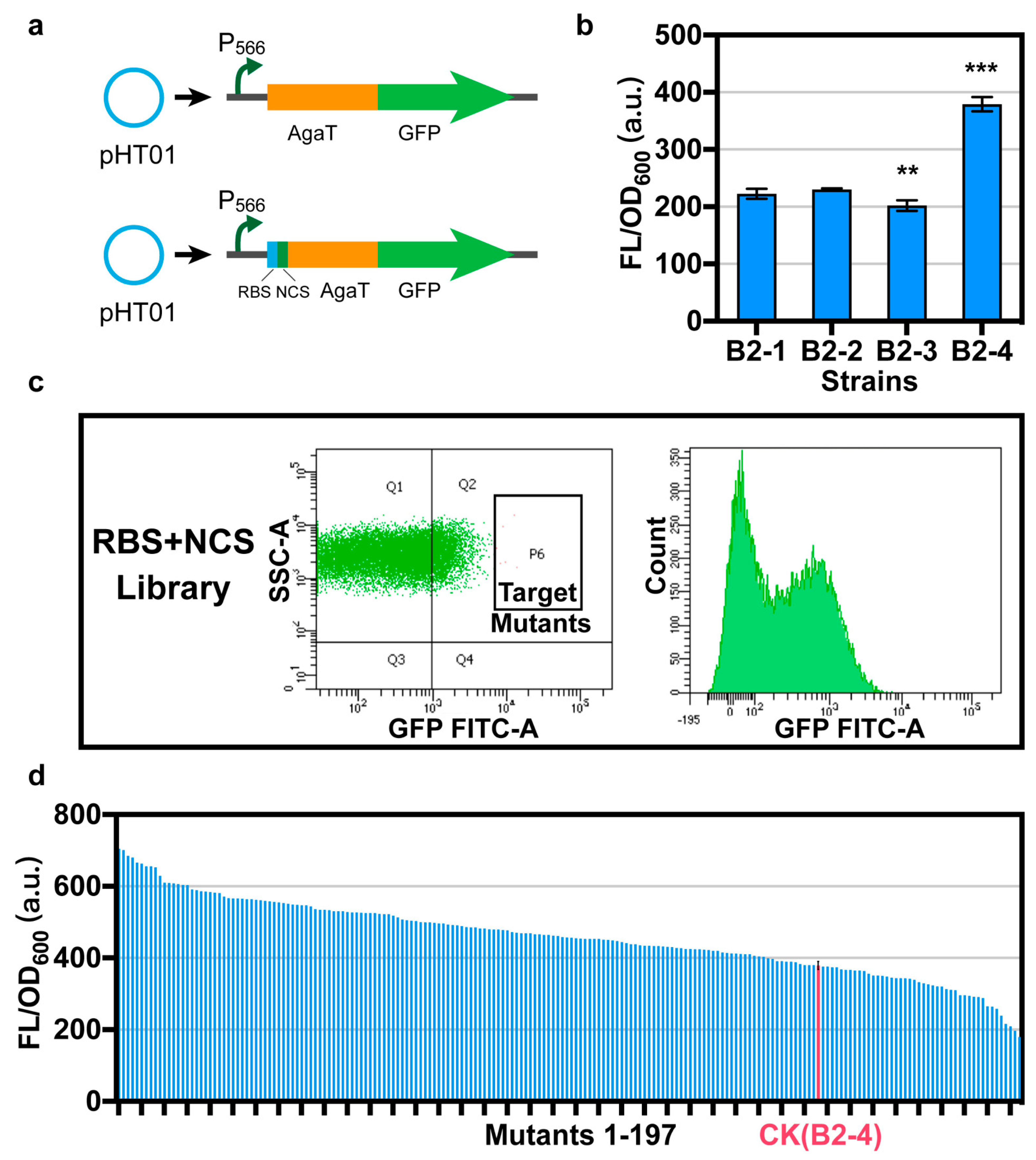 Fermentation 08 00116 g002 Fermentation 08 00116 g002