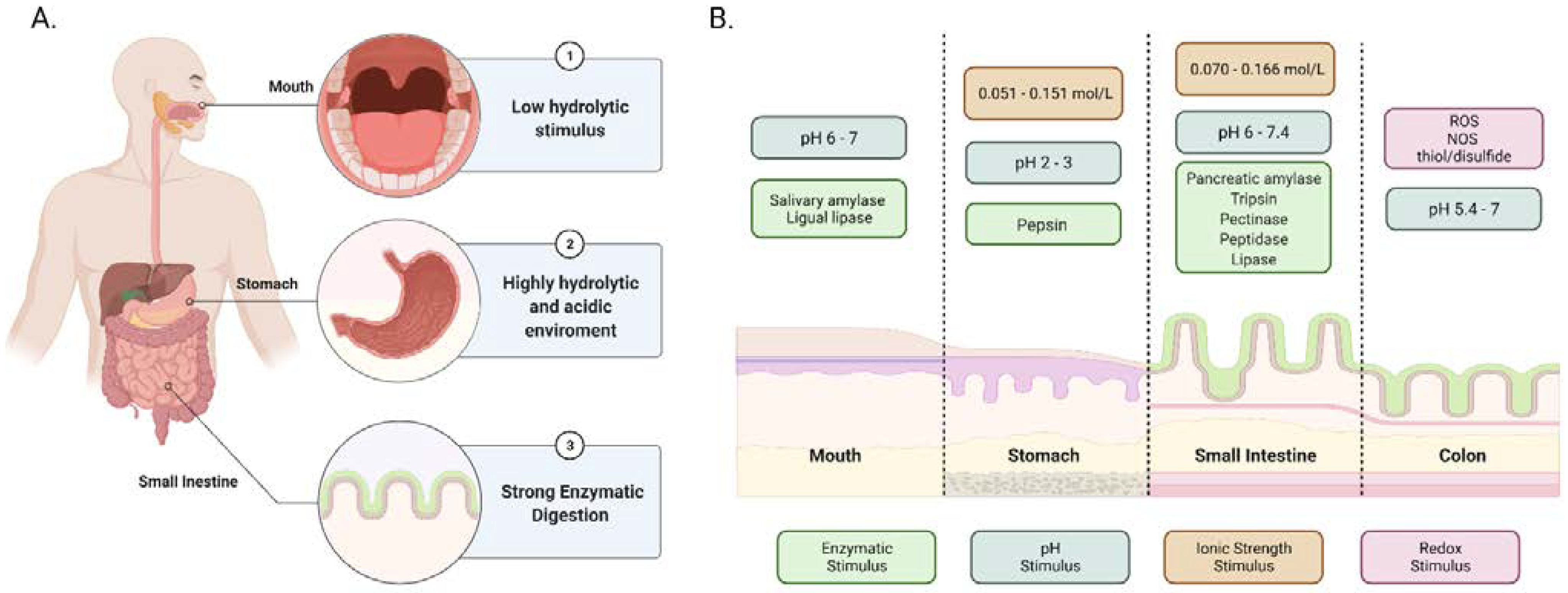 Fermentation 08 00117 g001