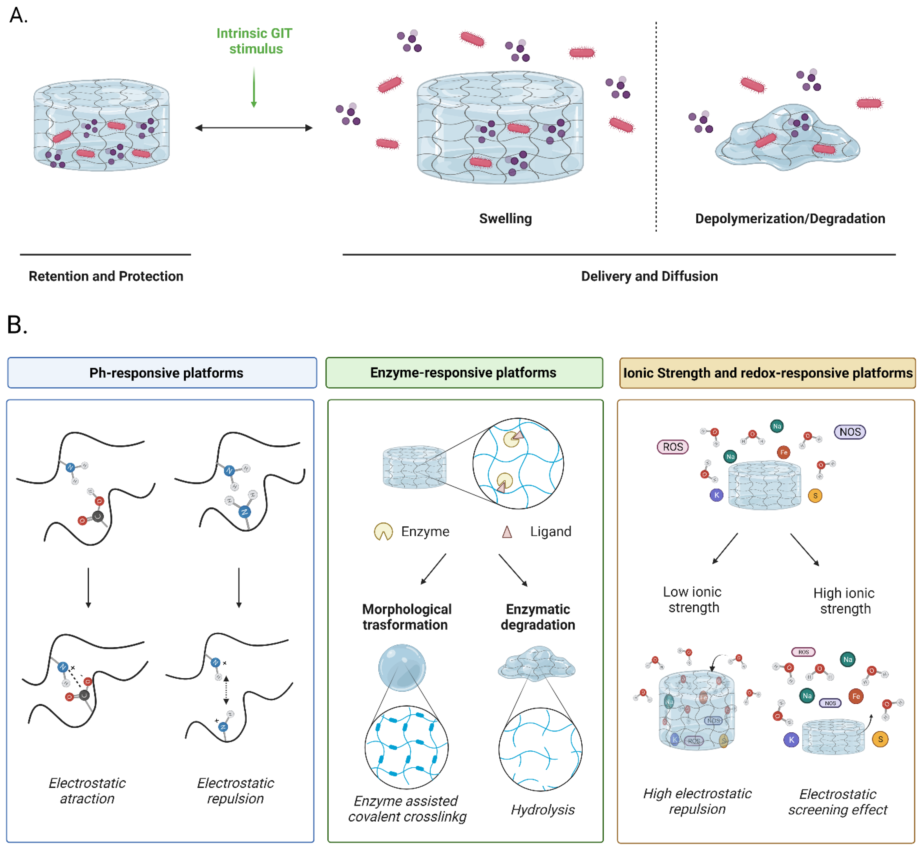 Fermentation 08 00117 g002