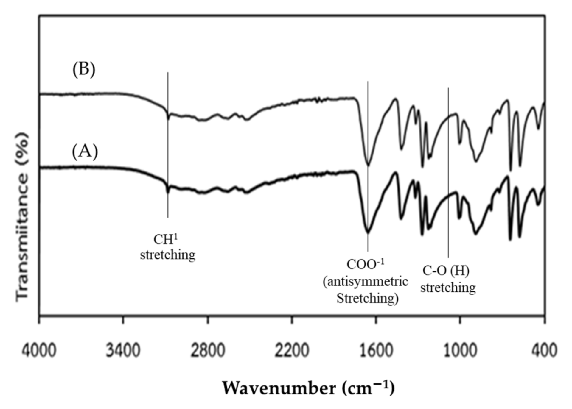 Fermentation 08 00121 g003
