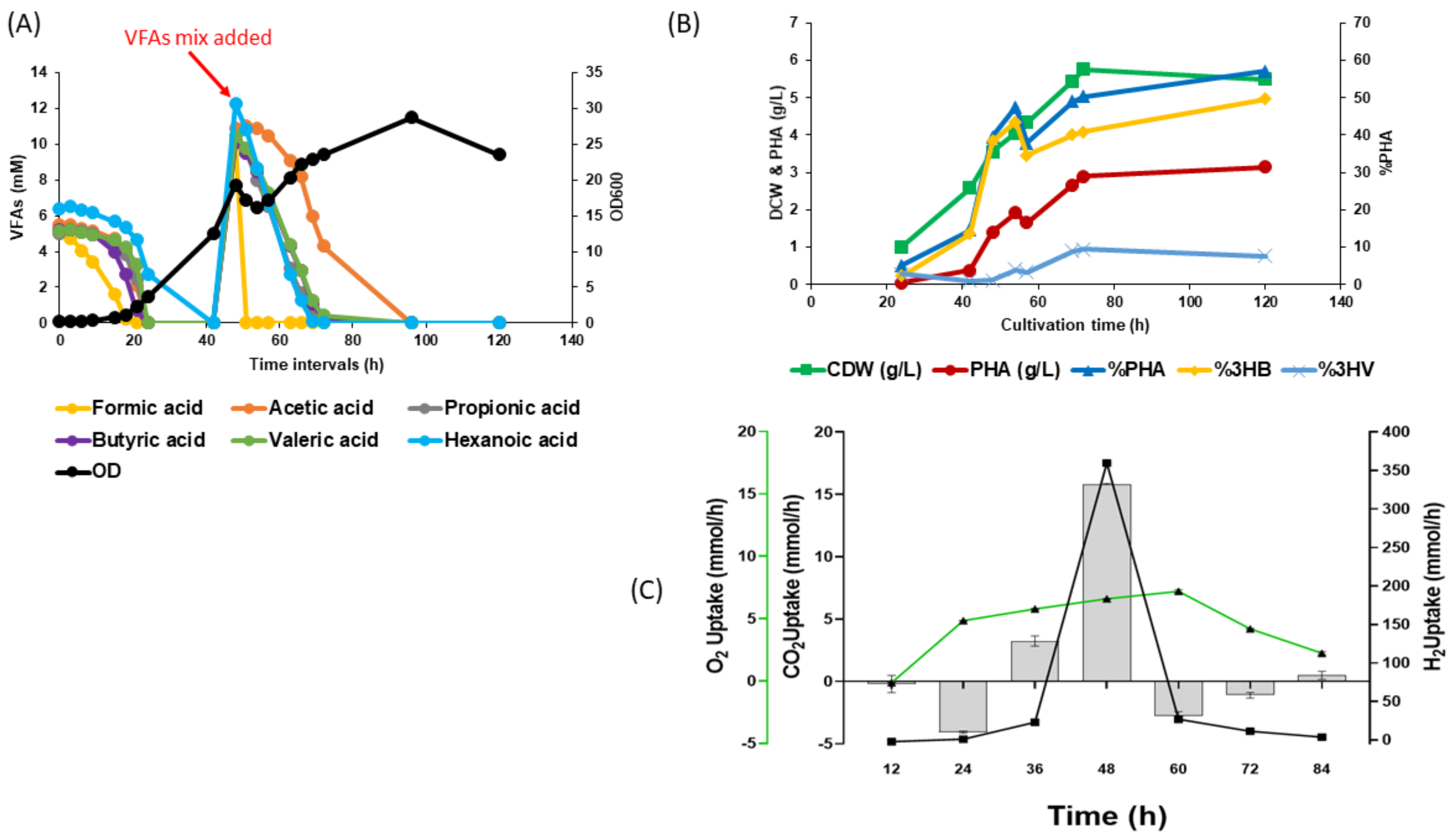 Fermentation 08 00125 g003