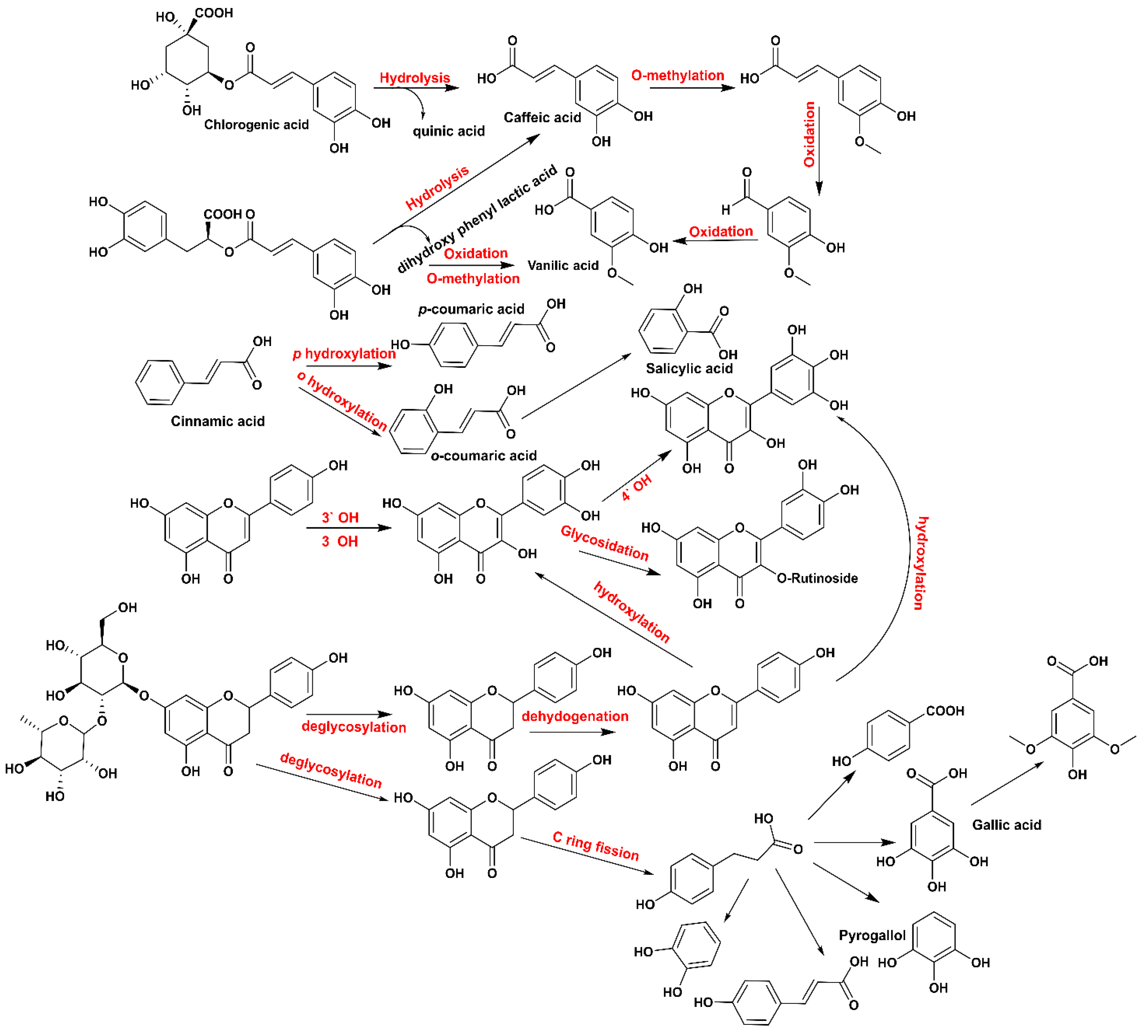Fermentation 08 00128 g008 550