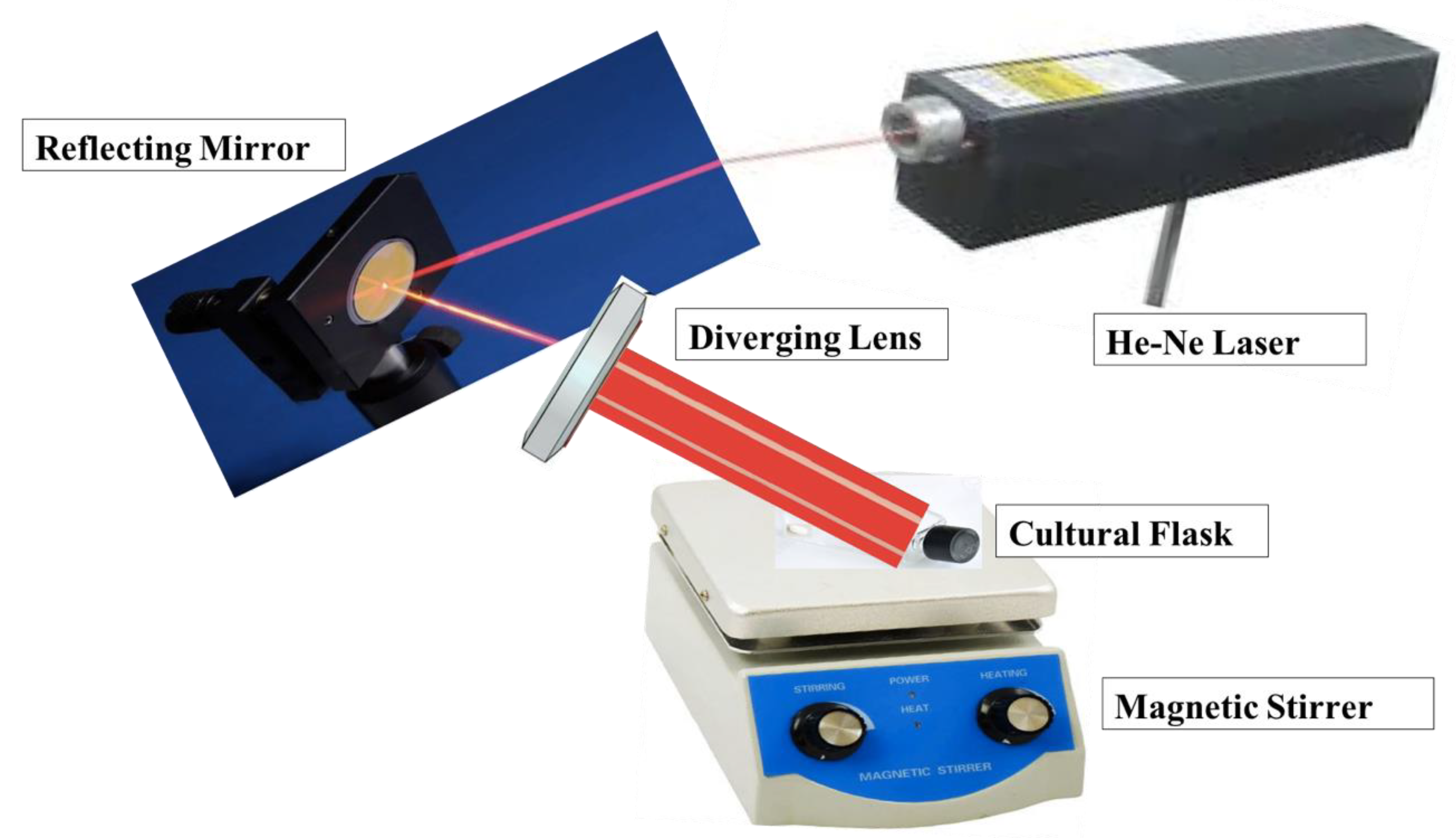Fermentation 08 00132 g001 550