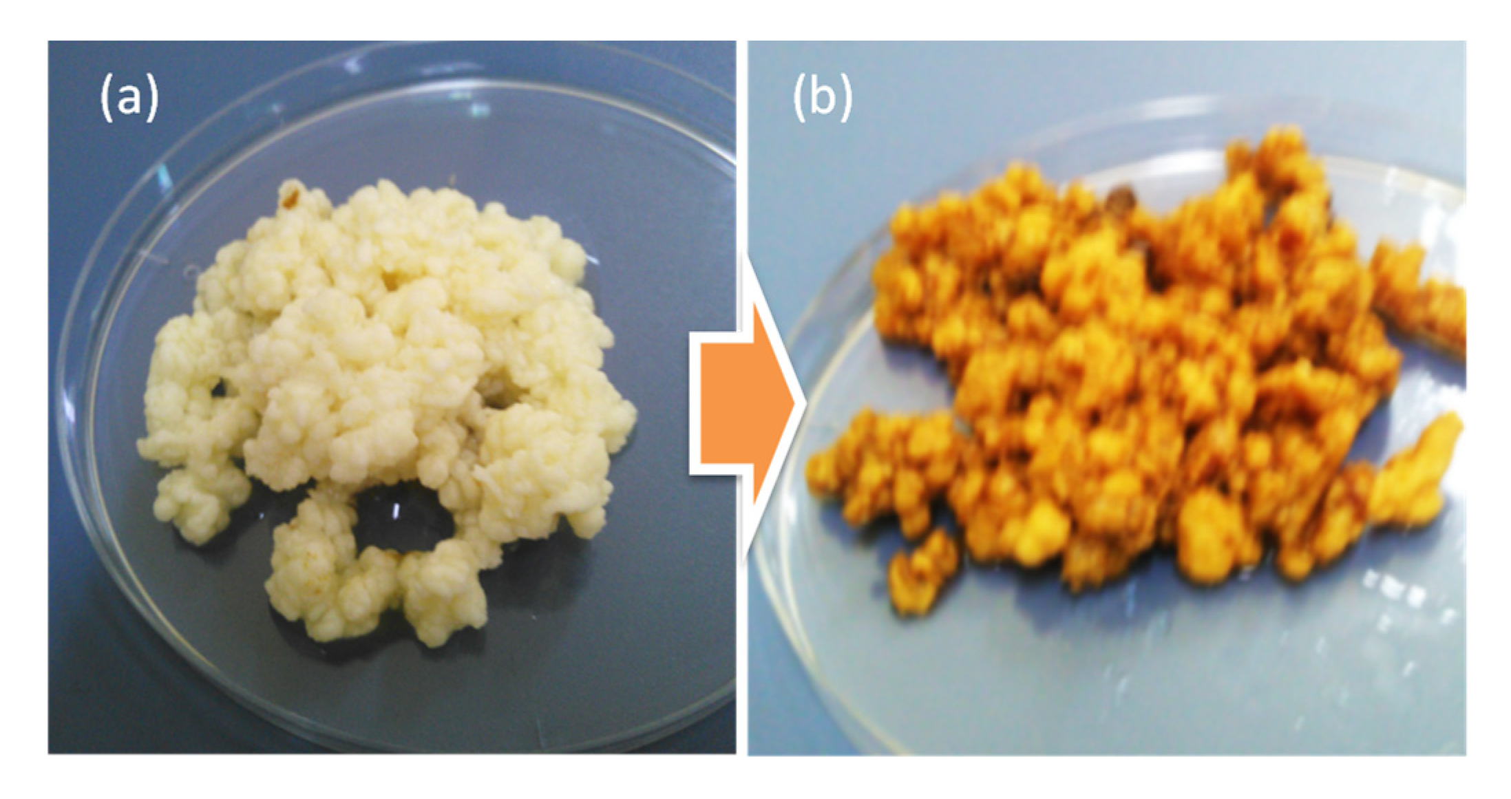 Fermentation 08 00135 g005 550